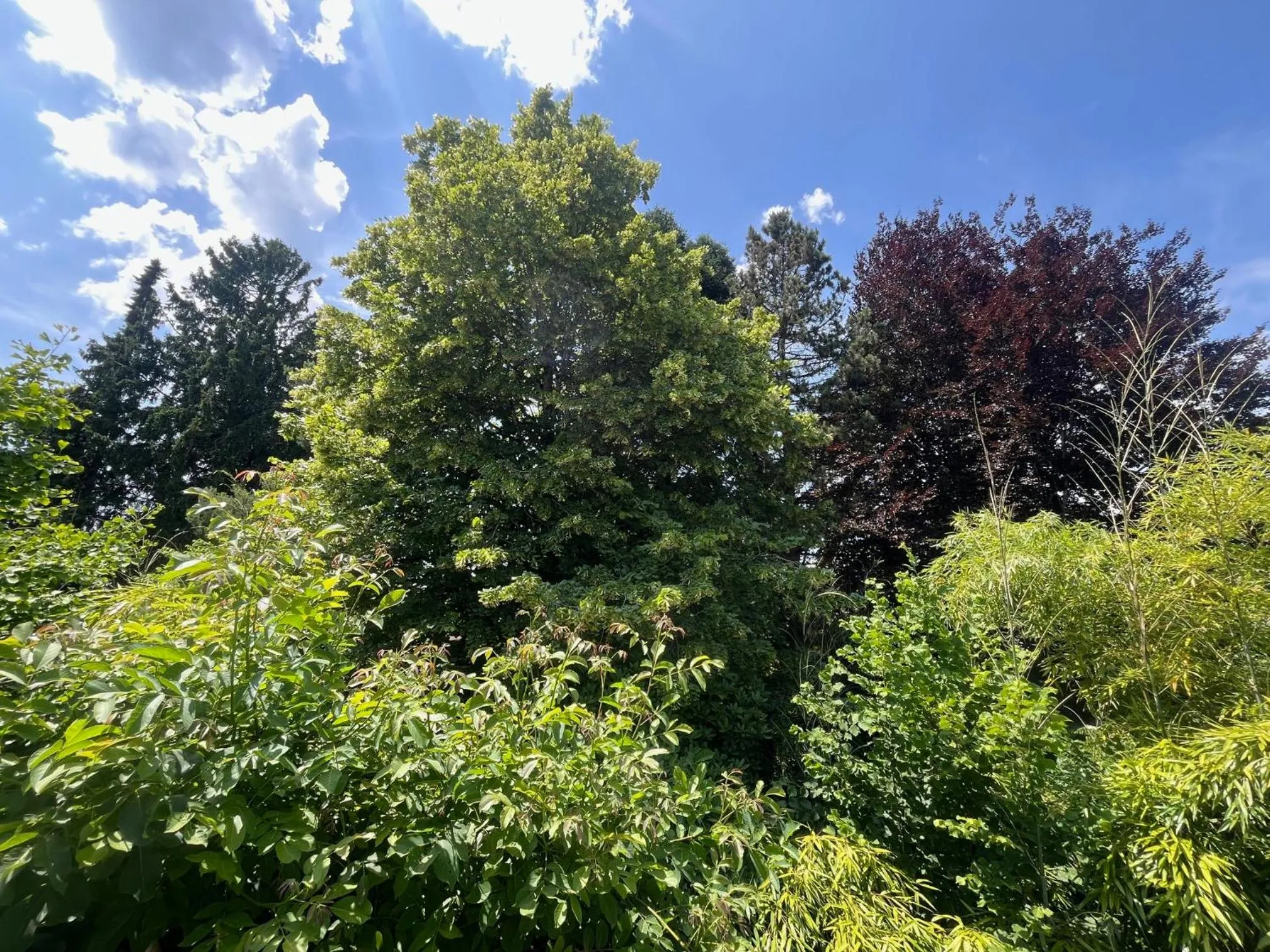 Spring in Bed and Breakfast Bavaria München