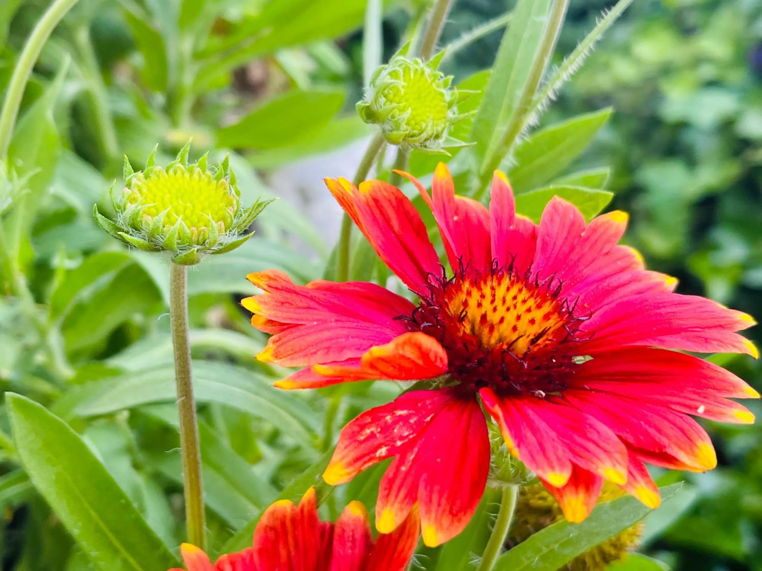 Spring in Bed and Breakfast Bavaria München