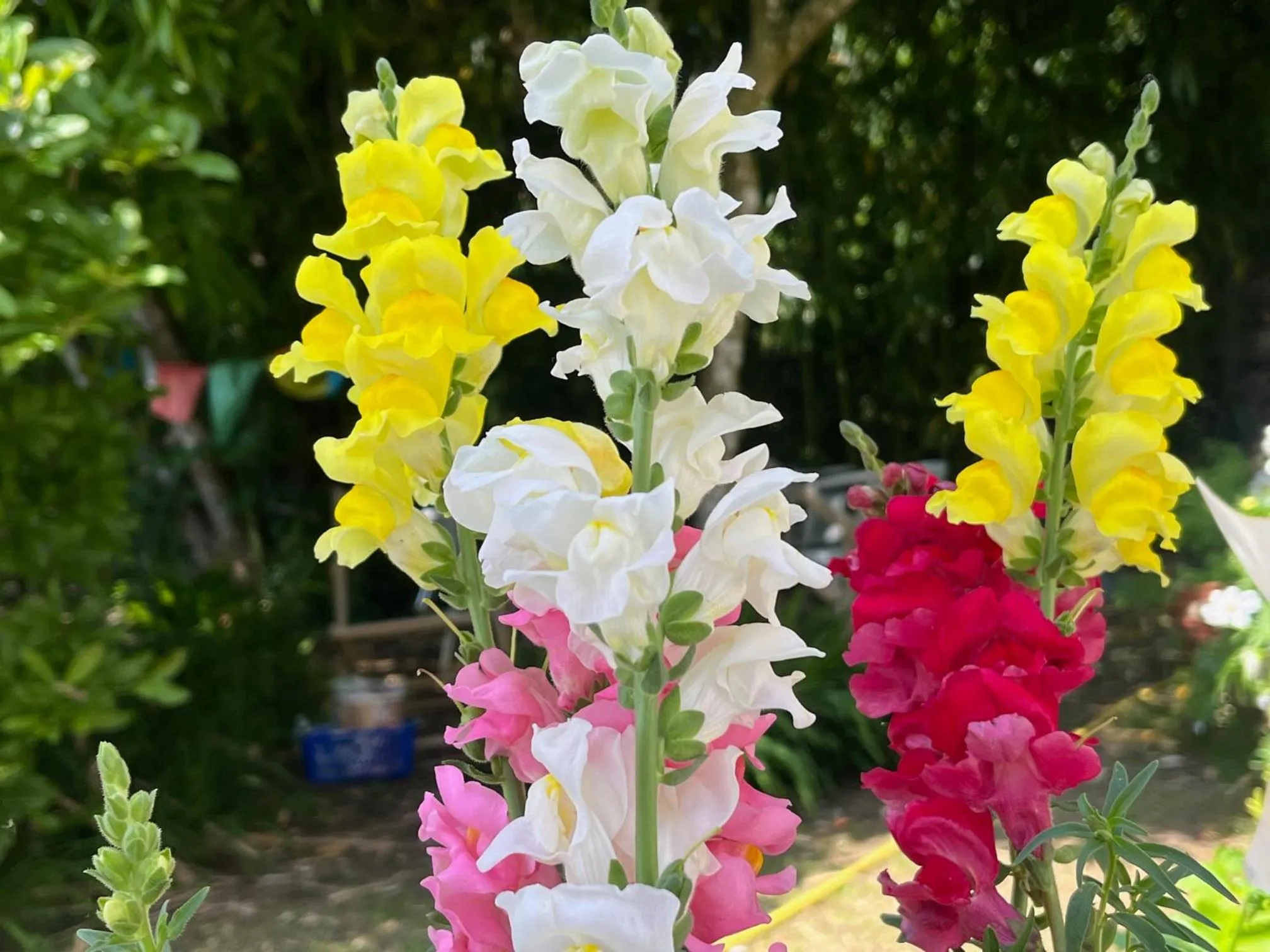 Spring in Bed and Breakfast Bavaria München