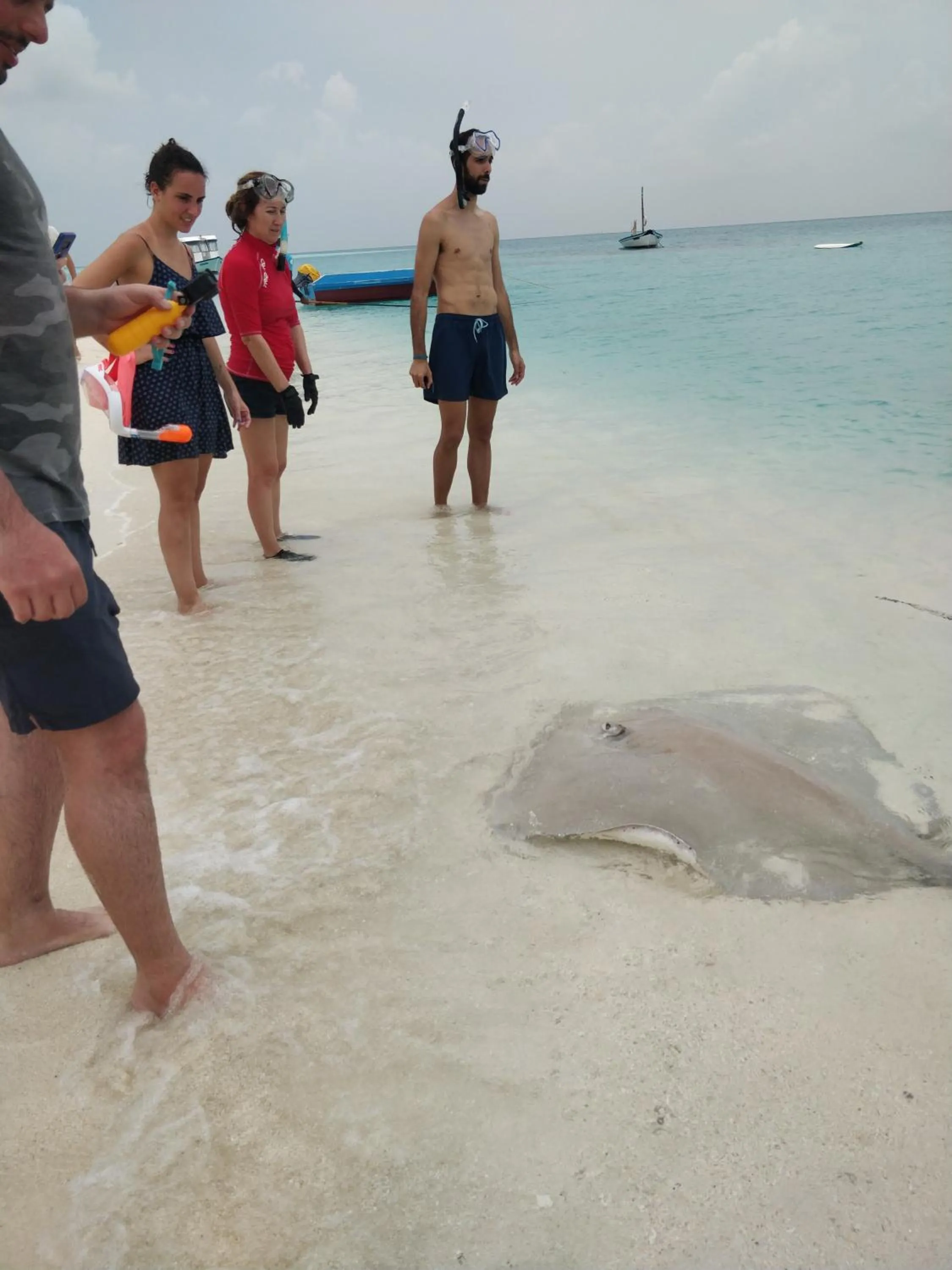 Activities in Alkina lodge