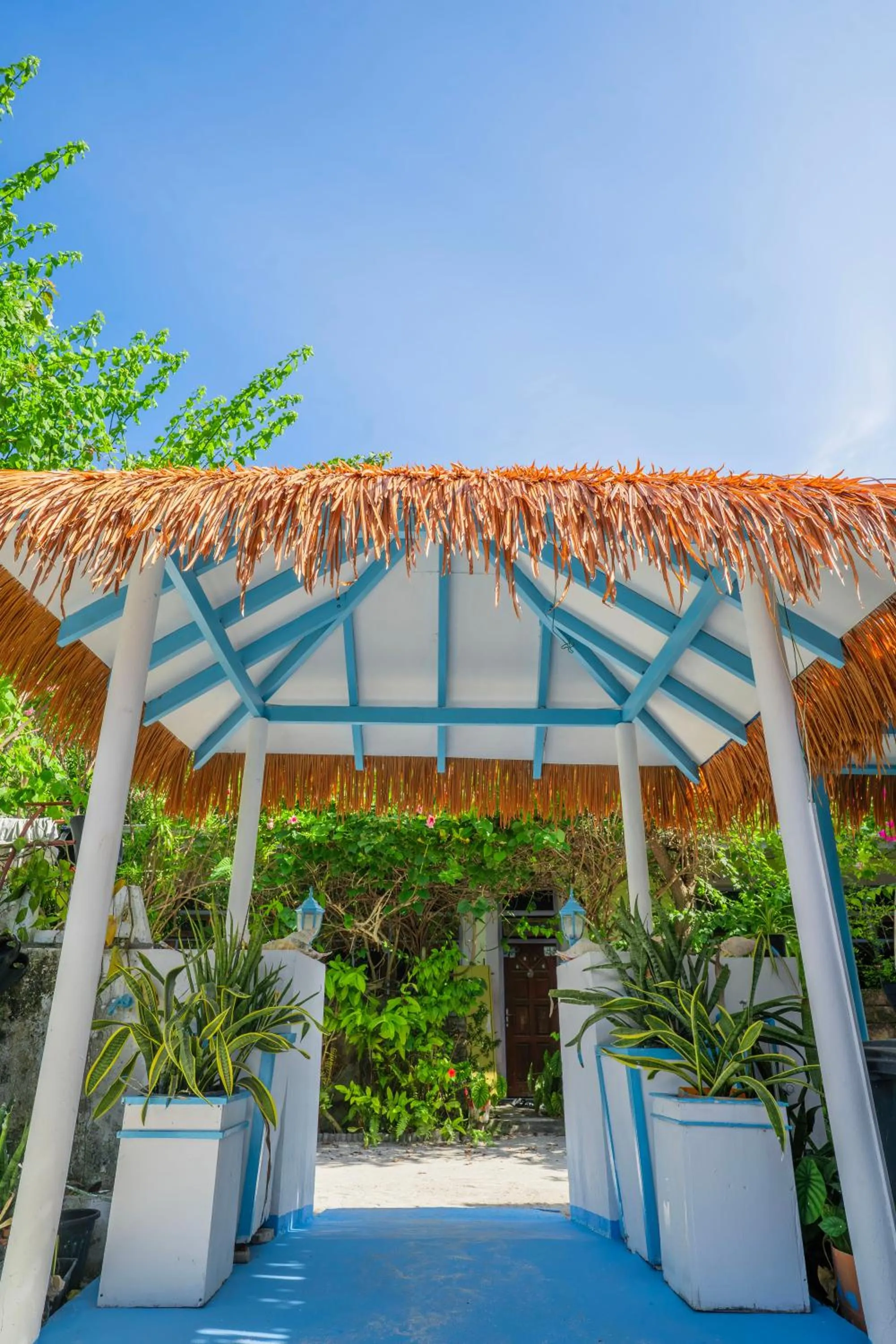 Property building in Alkina lodge