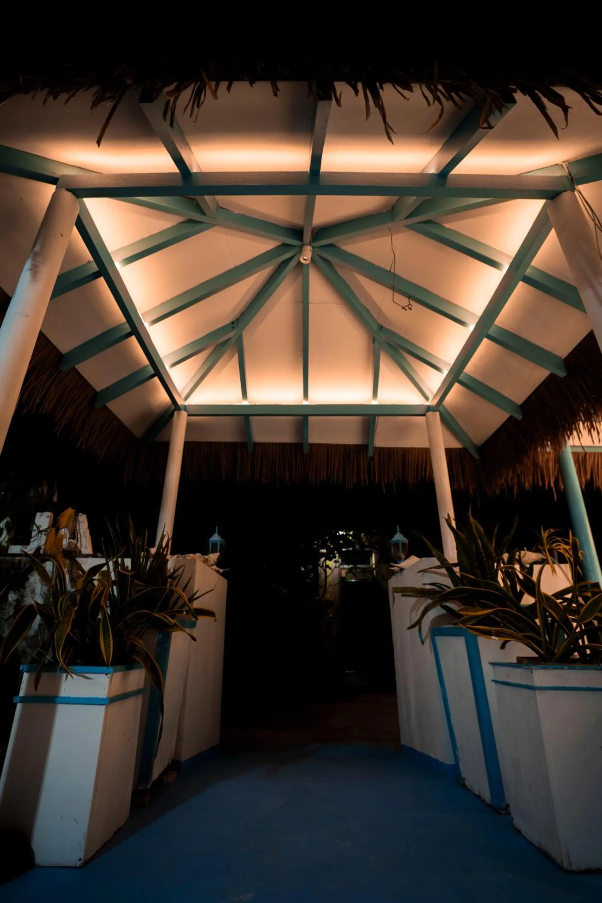 Property building in Alkina lodge