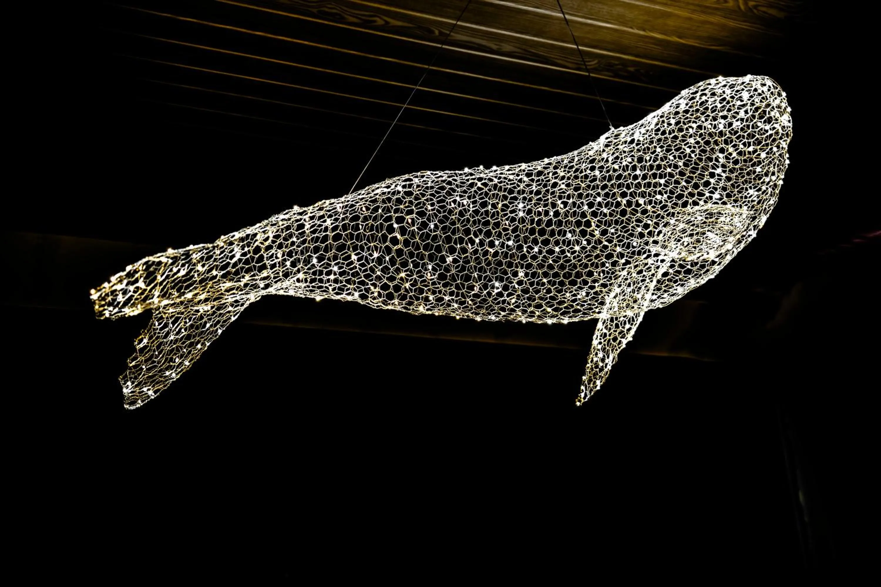 Property building in Alkina lodge