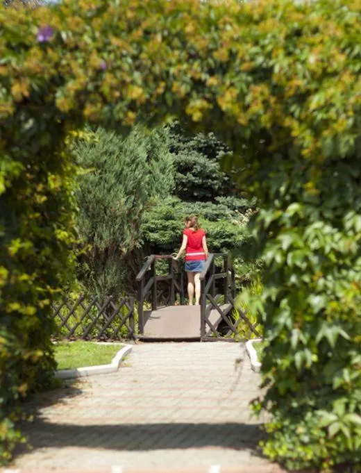 Garden in Hotel Oaza