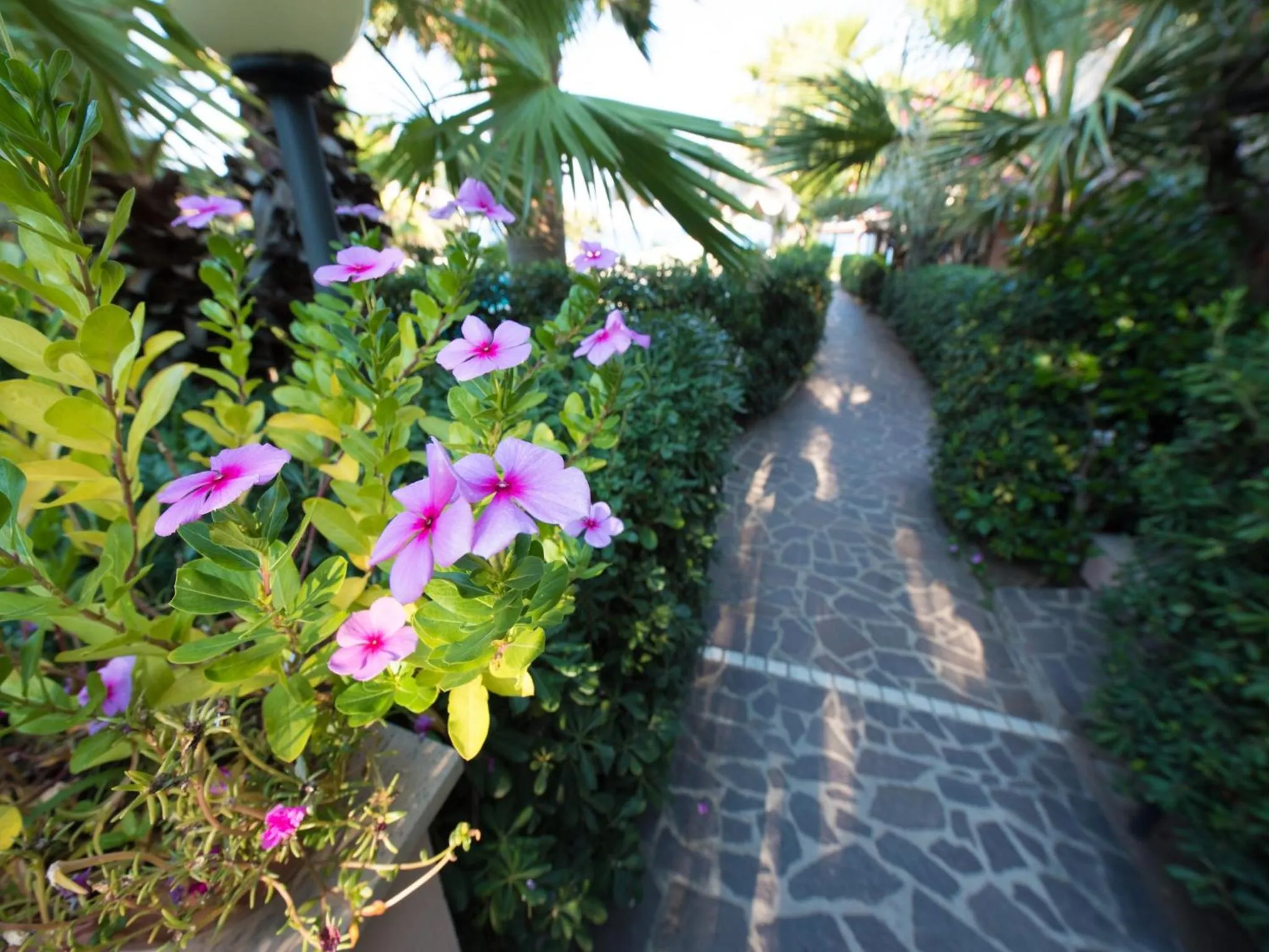 Garden in Baia del Godano Resort & Spa