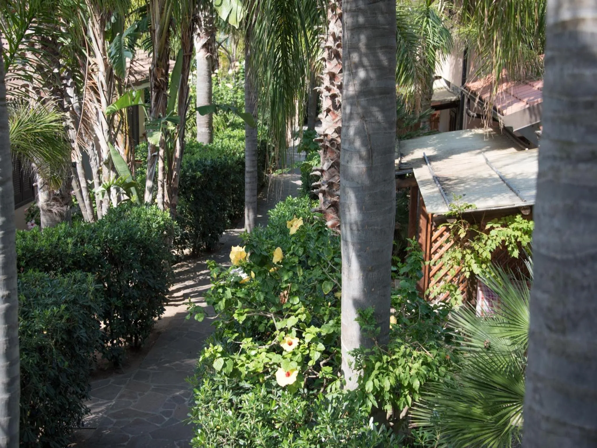 Garden view in Baia del Godano Resort & Spa