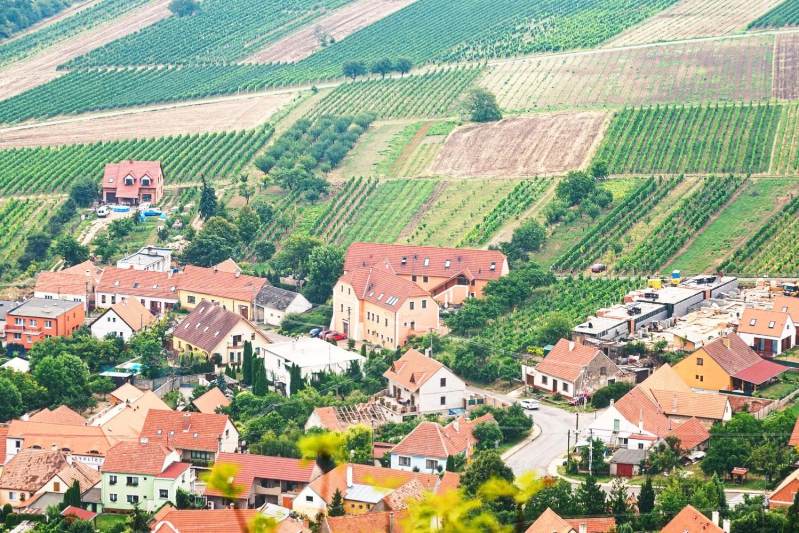 Lounge or bar in Hotel Pavlov