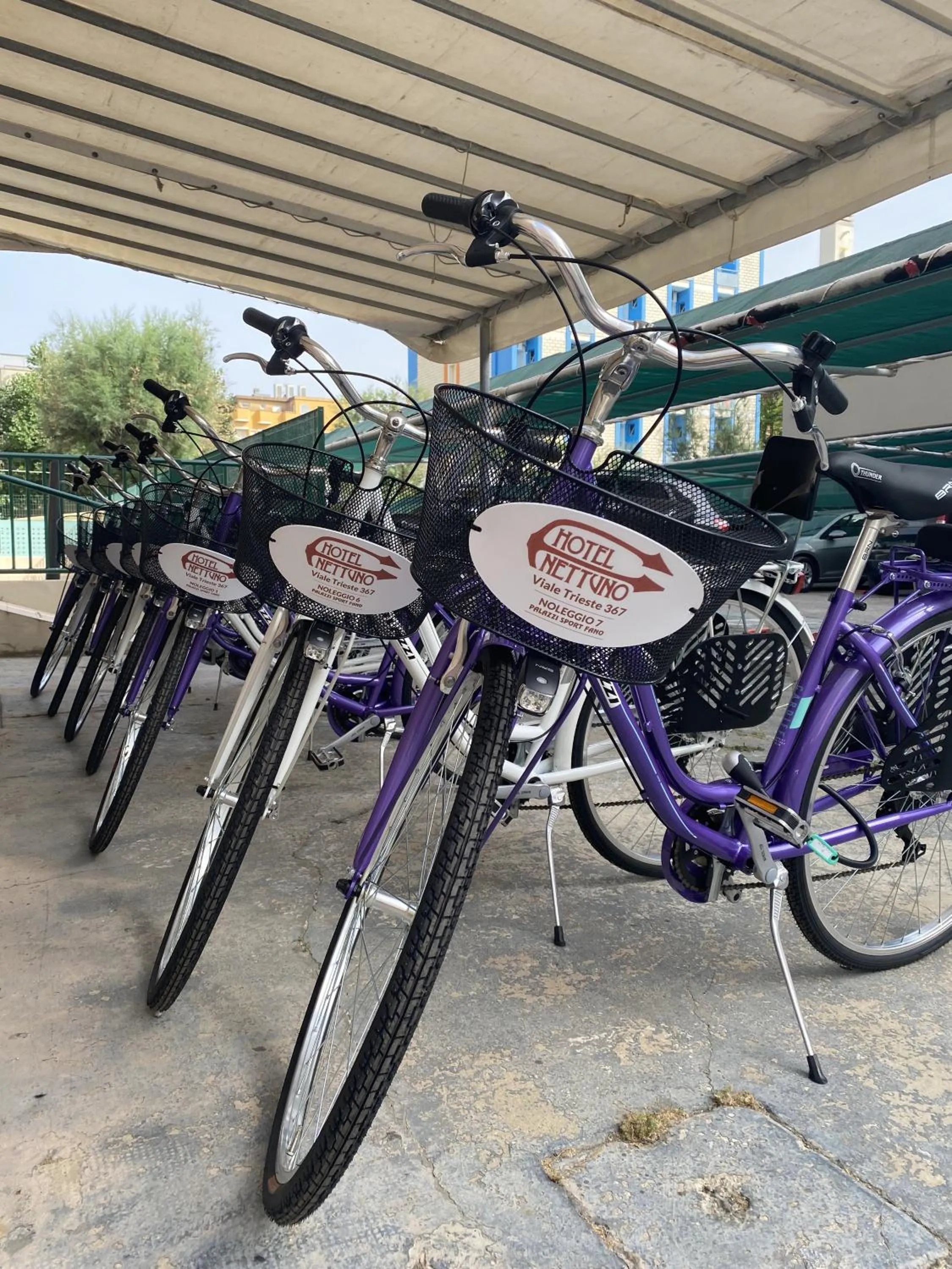 Area and facilities in Hotel Nettuno