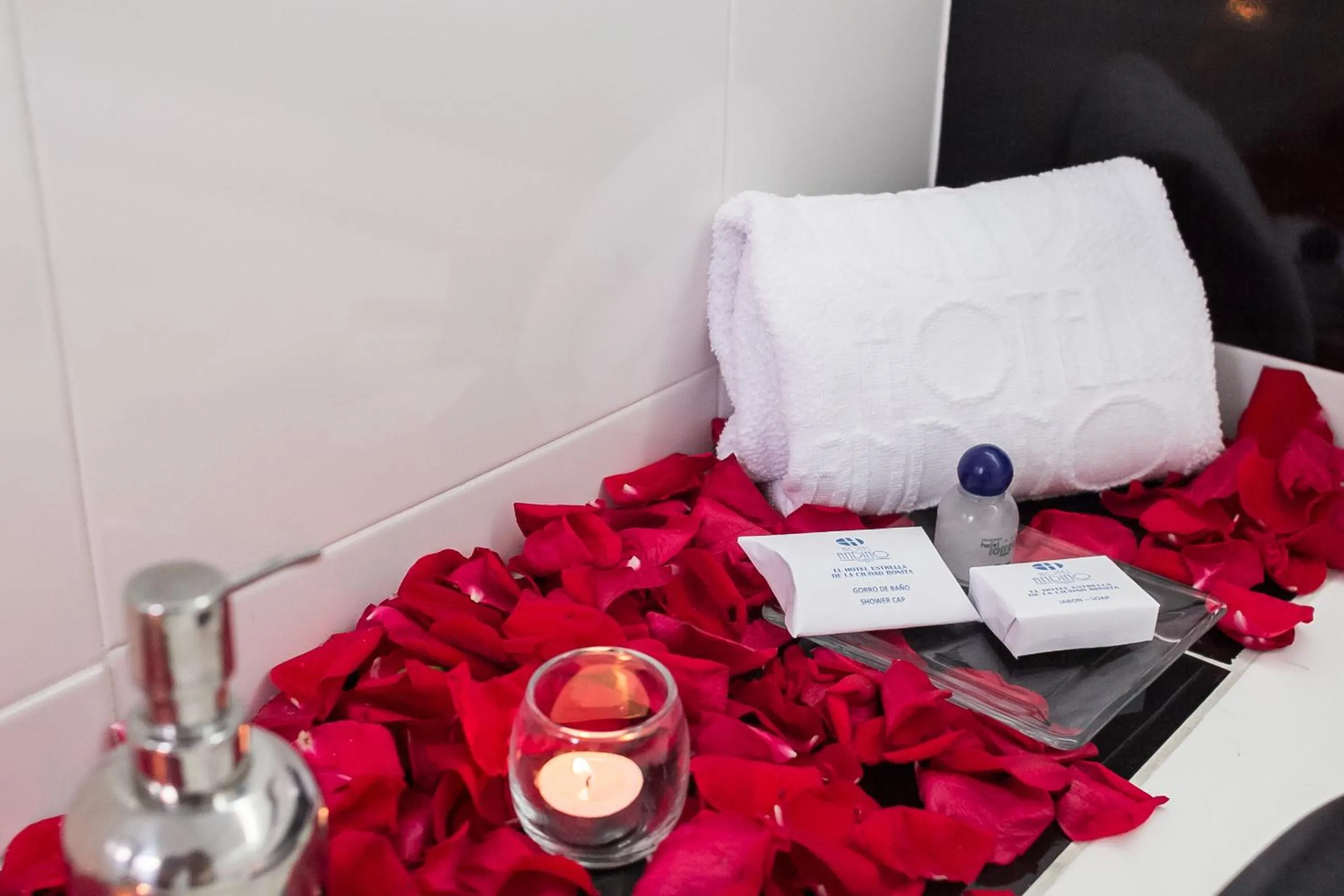 Suite in Hotel Andino