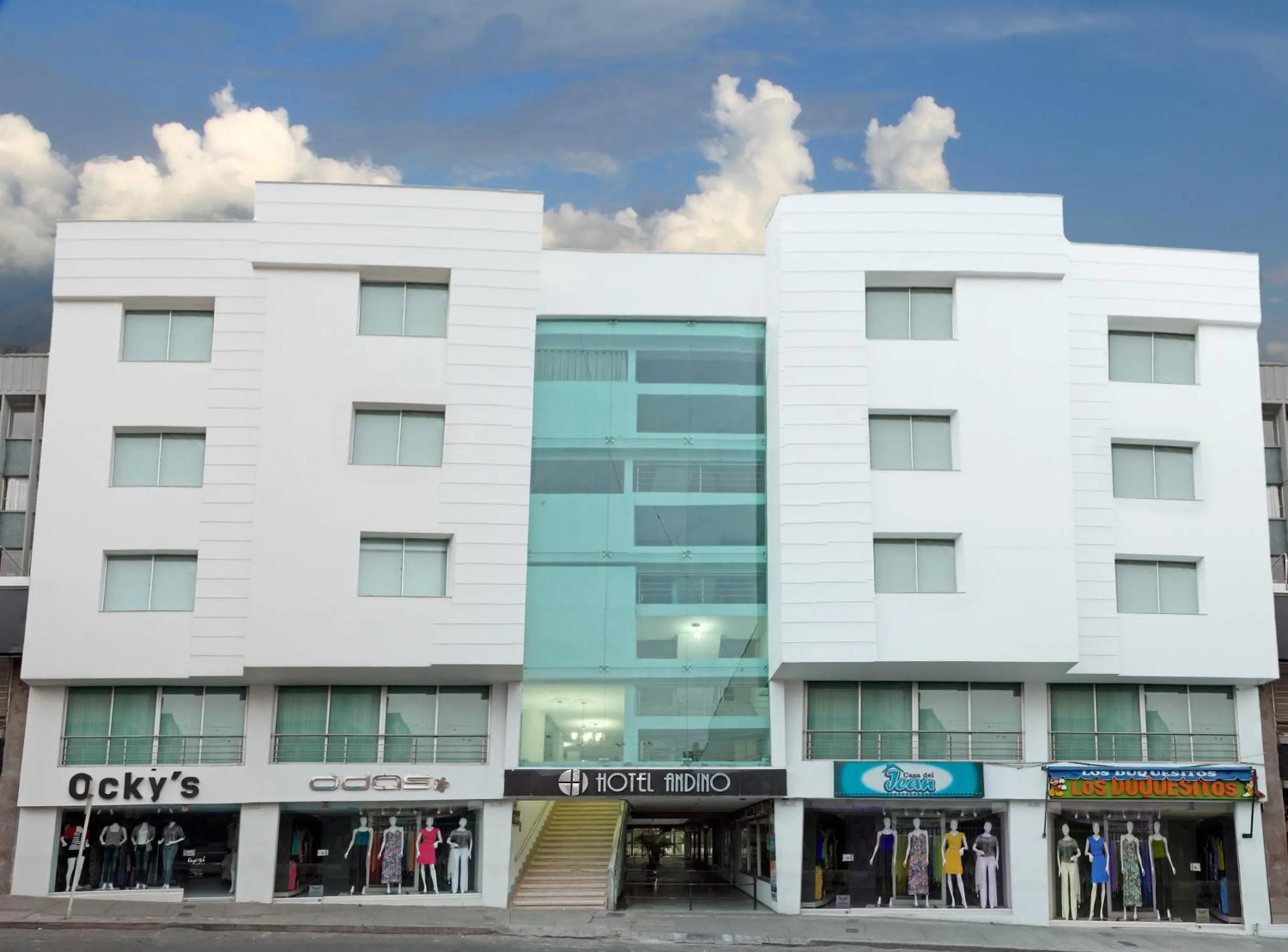 Hotel Andino