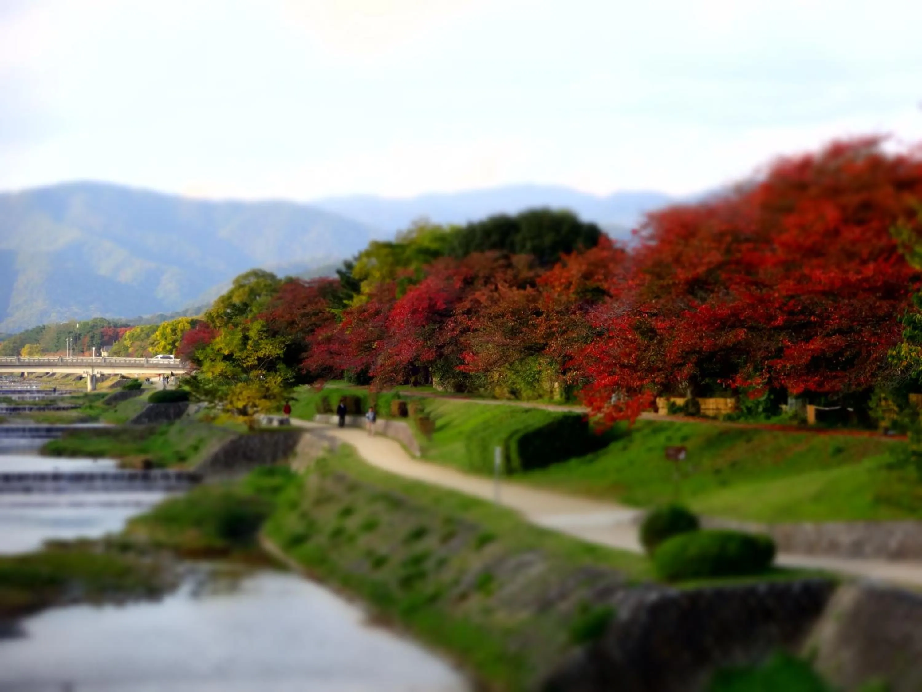 Off site in Diamond Kyoto Society