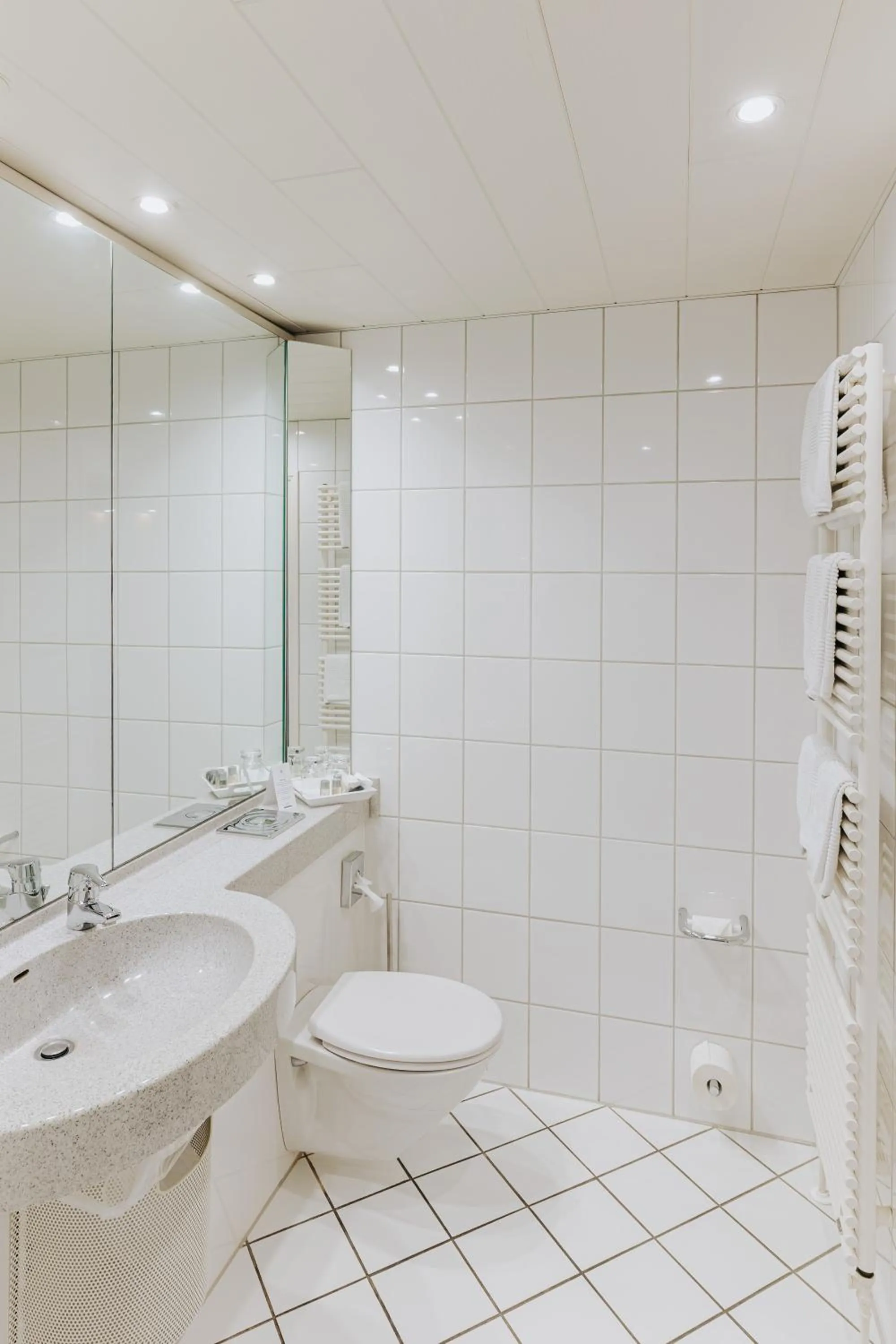 Shower in Hotel-Restaurant Zum Schwanen