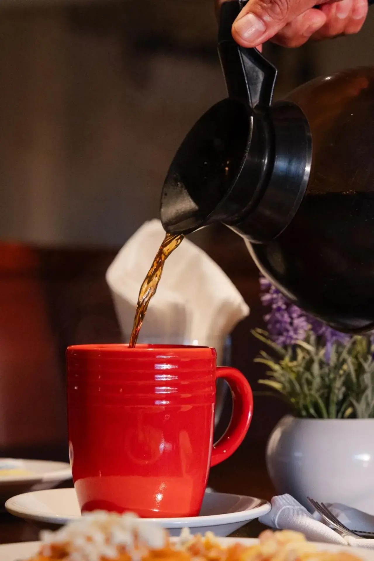 Restaurant/places to eat in Hotel San Antonio Restaurant/places to eat in Hotel San Antonio