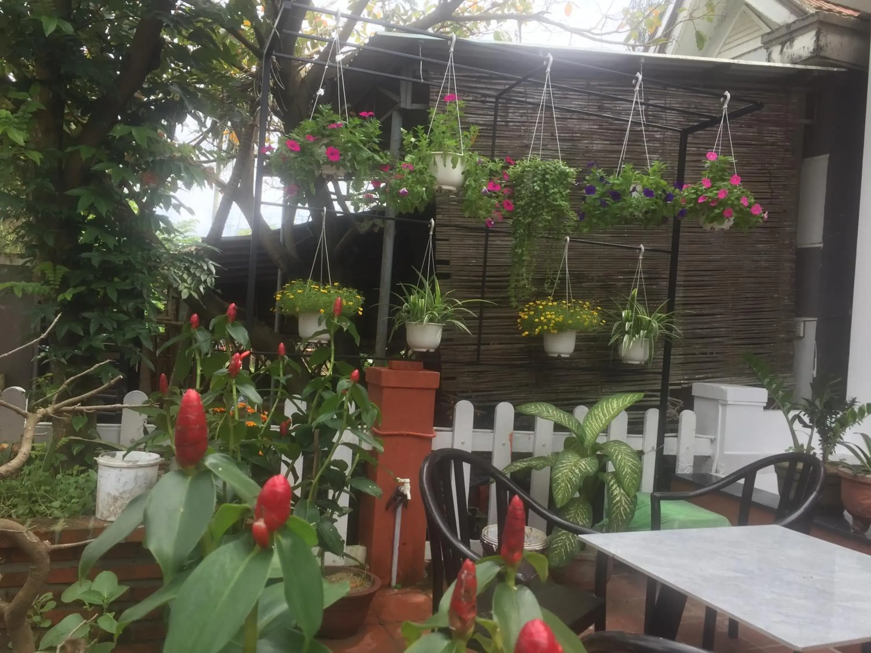 Garden view in New Destination Hoi An Garden view in New Destination Hoi An