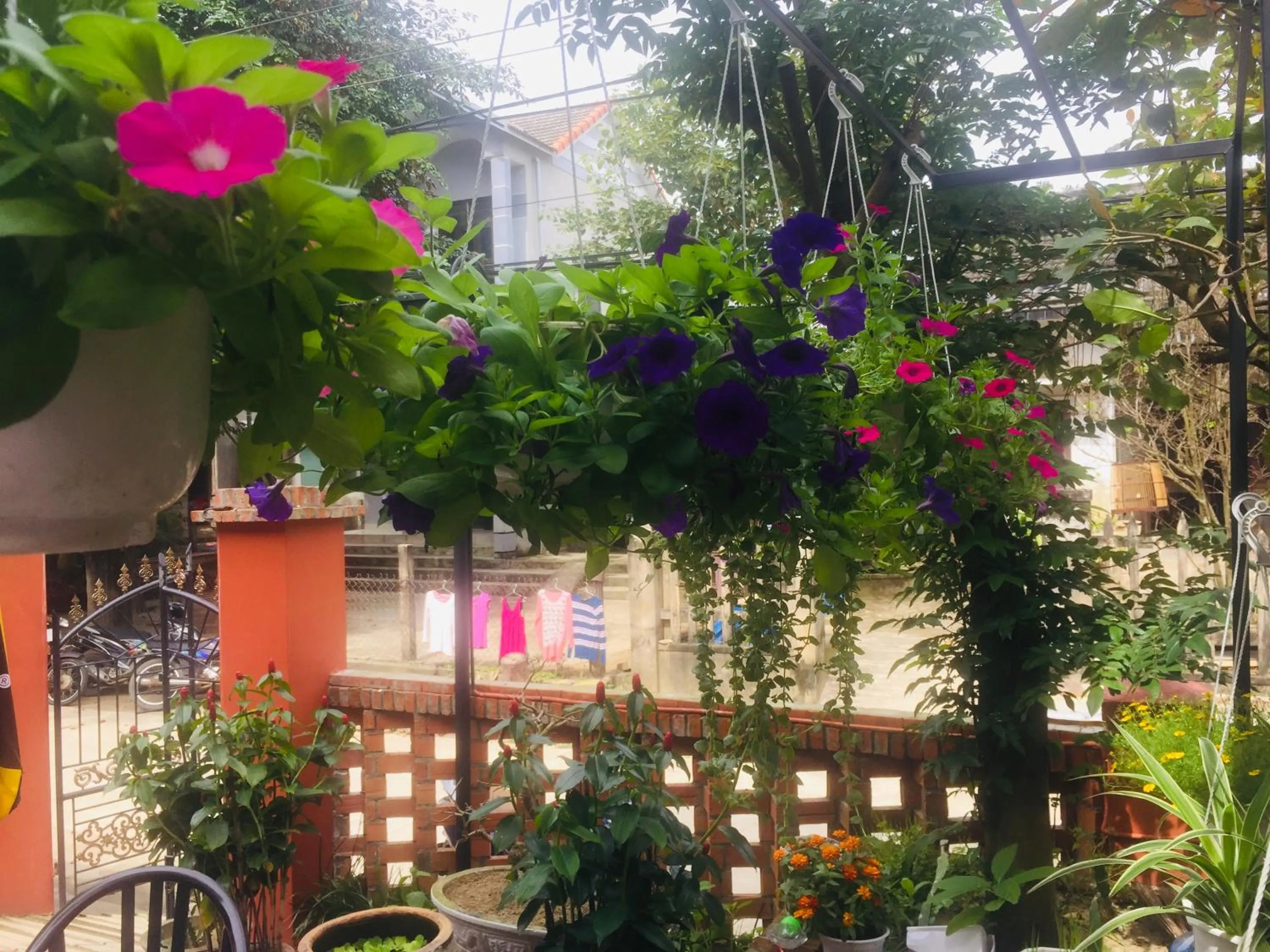 Garden in New Destination Hoi An