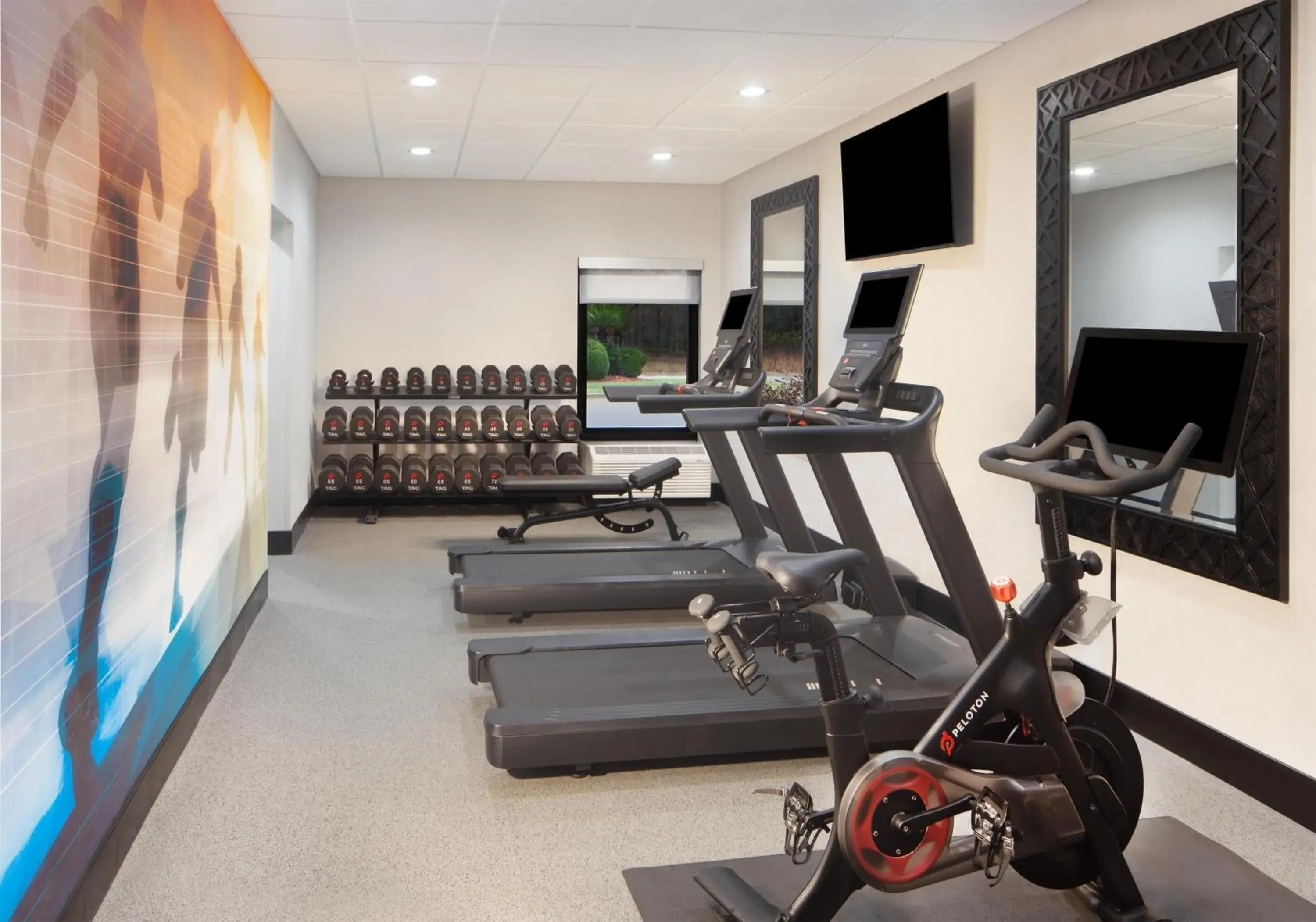 Fitness centre/facilities in Hampton Inn - Greenville Fitness centre/facilities in Hampton Inn - Greenville