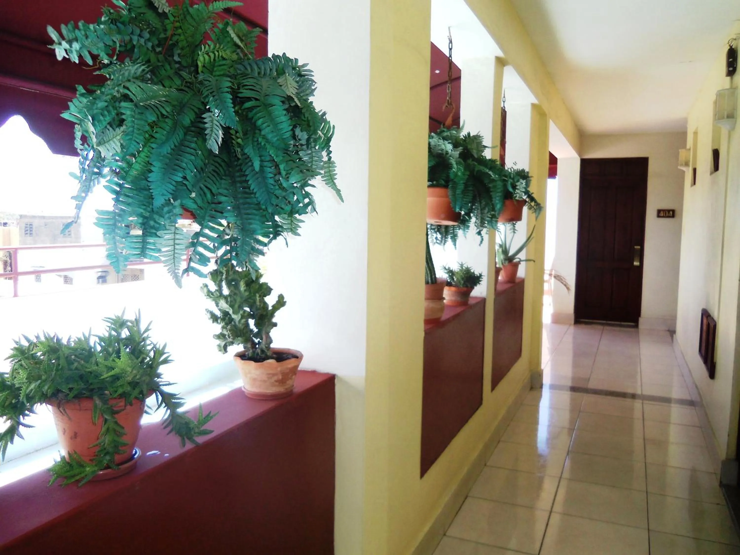 View (from property/room) in Hotel Discovery