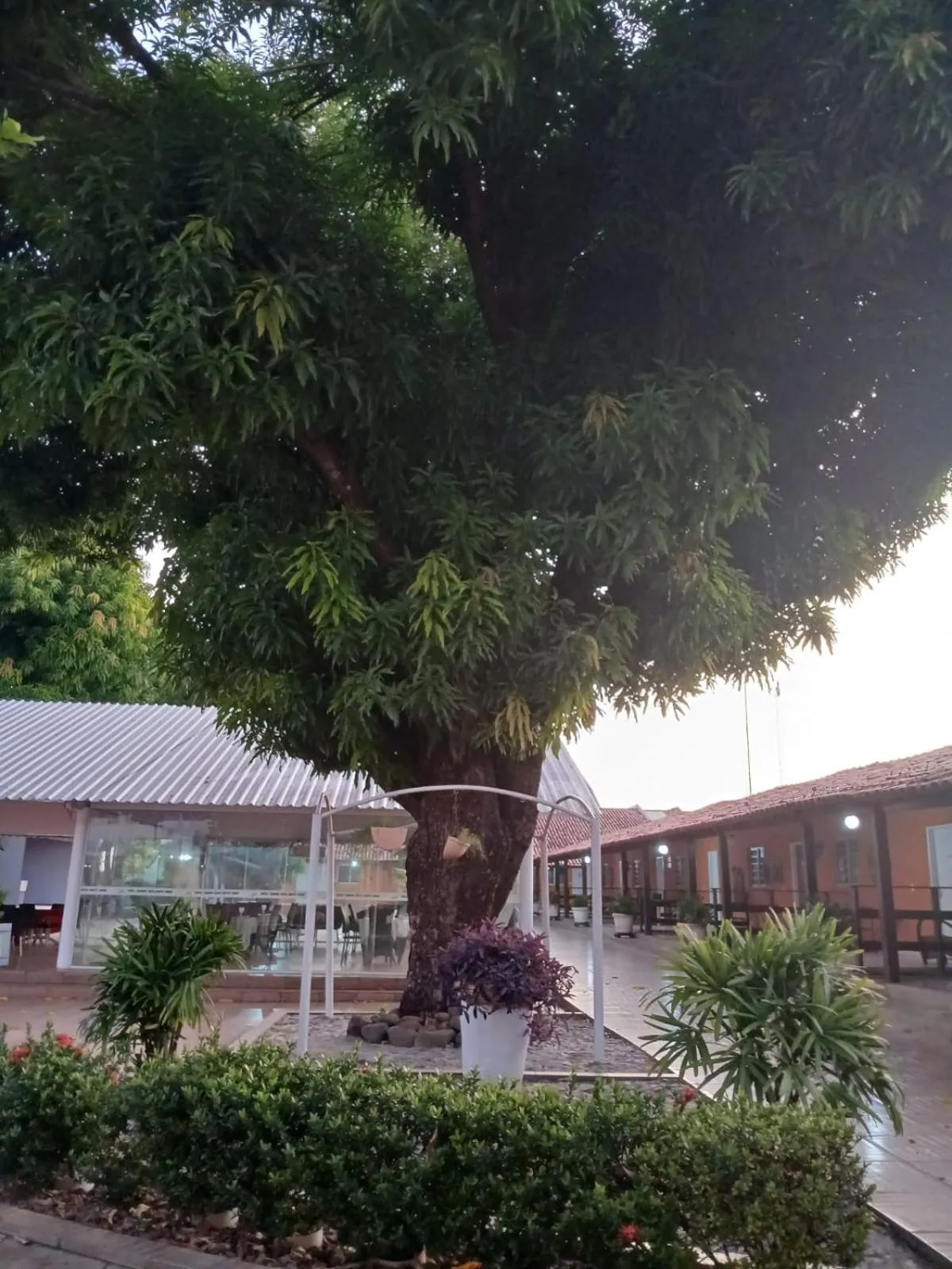 Garden in Hotel Cajuína Sul