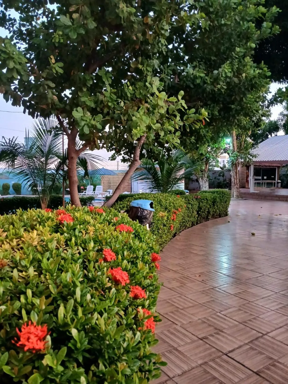 Garden in Hotel Cajuína Sul