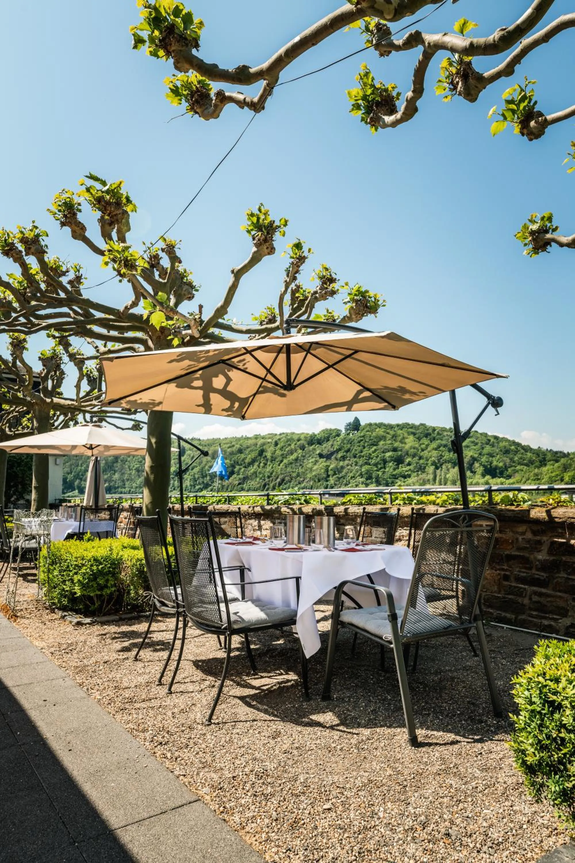 Day in Rheinhotel Schulz