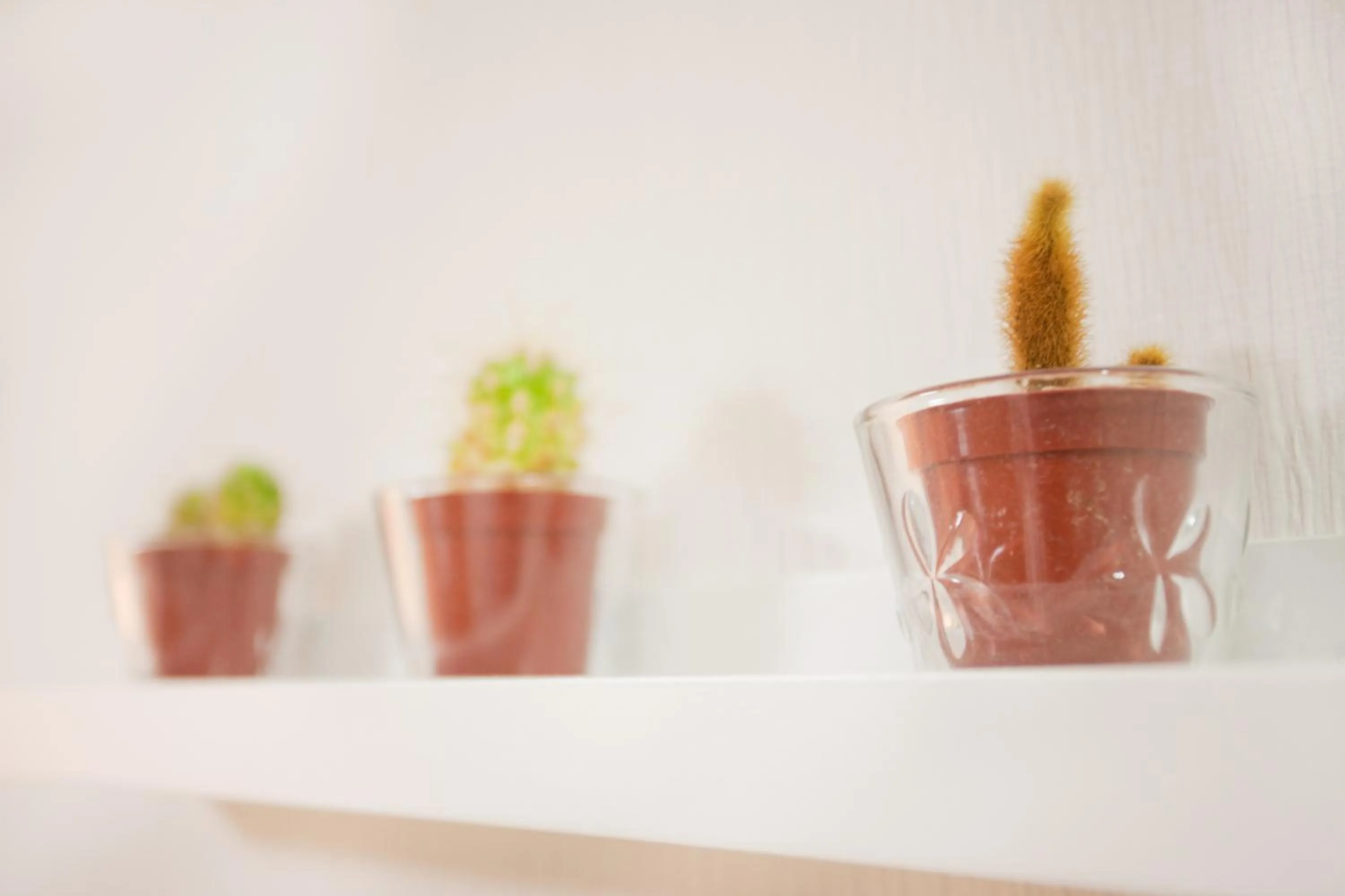 Other in Hanabi Hotel