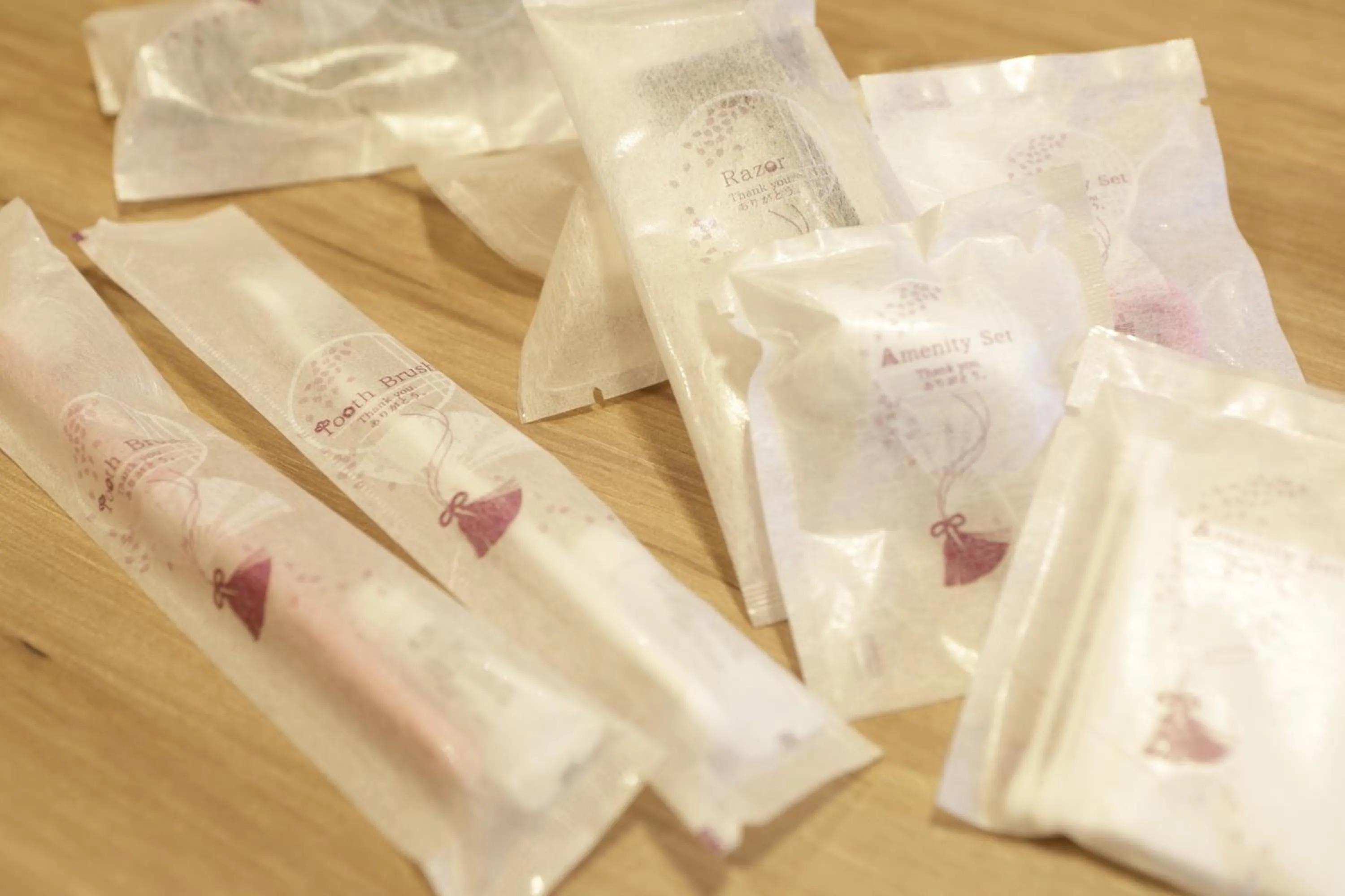 Area and facilities in Onyado Yuinosho, Shirakawago