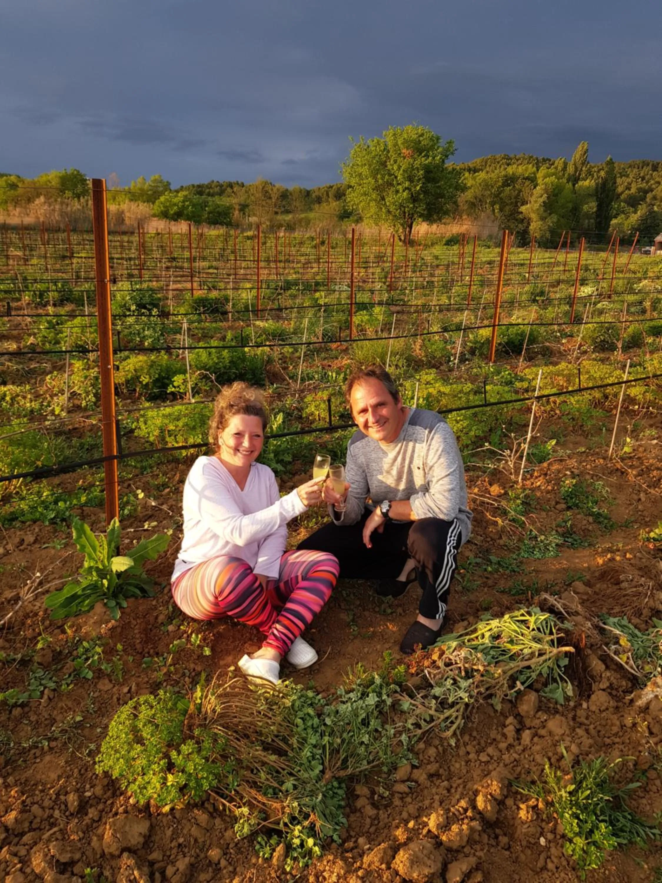 Garden view in Chambres & Tables d'hôtes Moulin de Lavon
