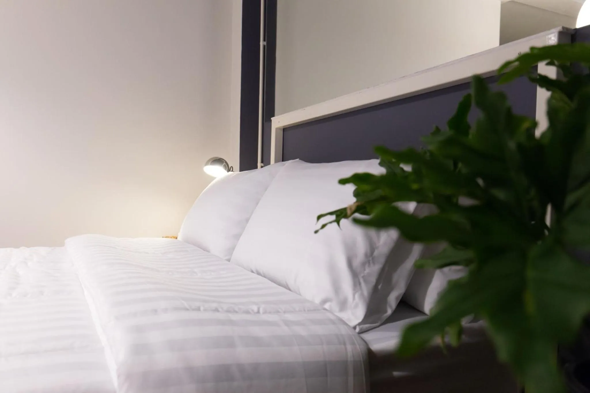 Bed in Mango 10 House