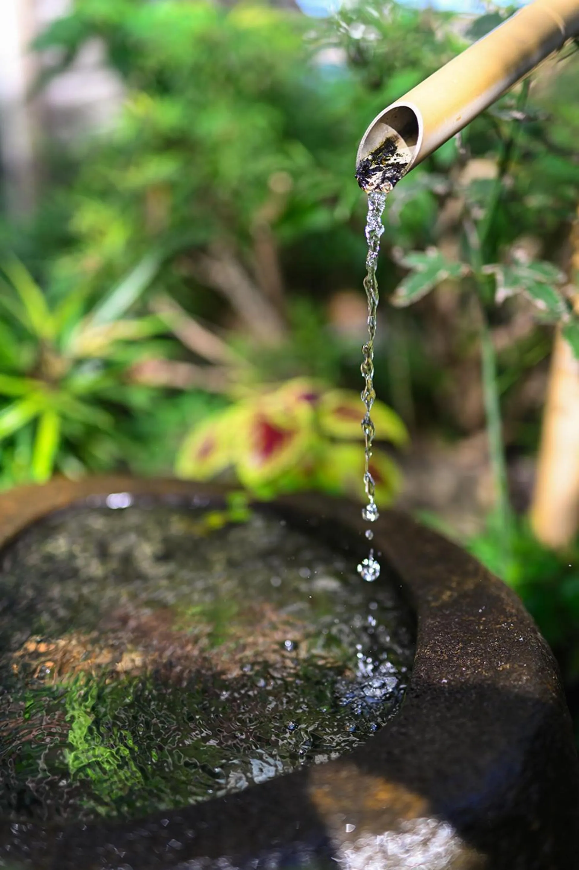 Garden in Park Taipei Hotel