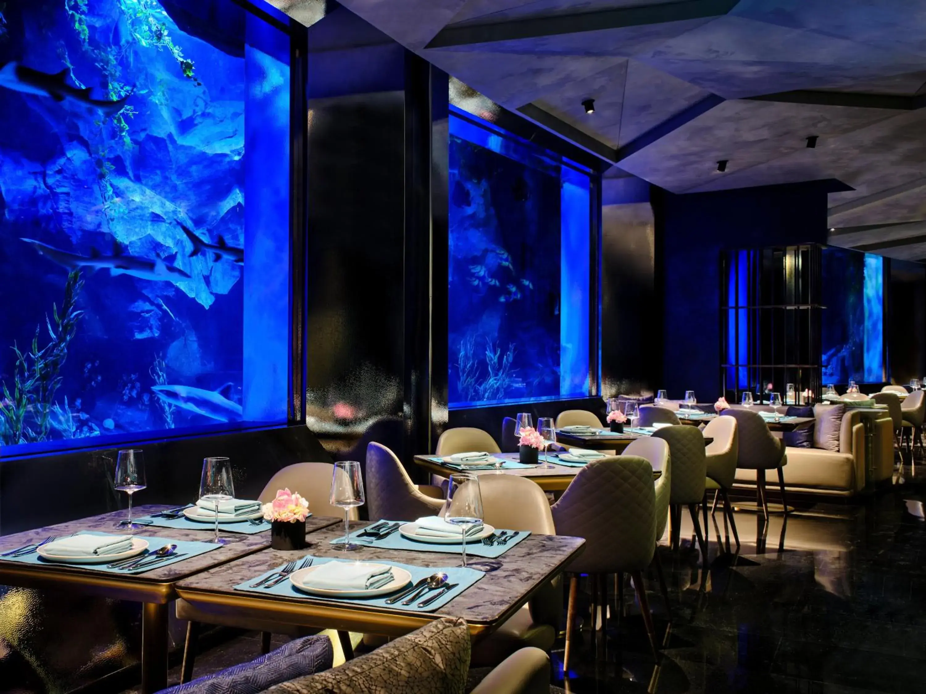 Restaurant/places to eat in InterContinental Shanghai Wonderland, an IHG Hotel Restaurant/places to eat in InterContinental Shanghai Wonderland, an IHG Hotel
