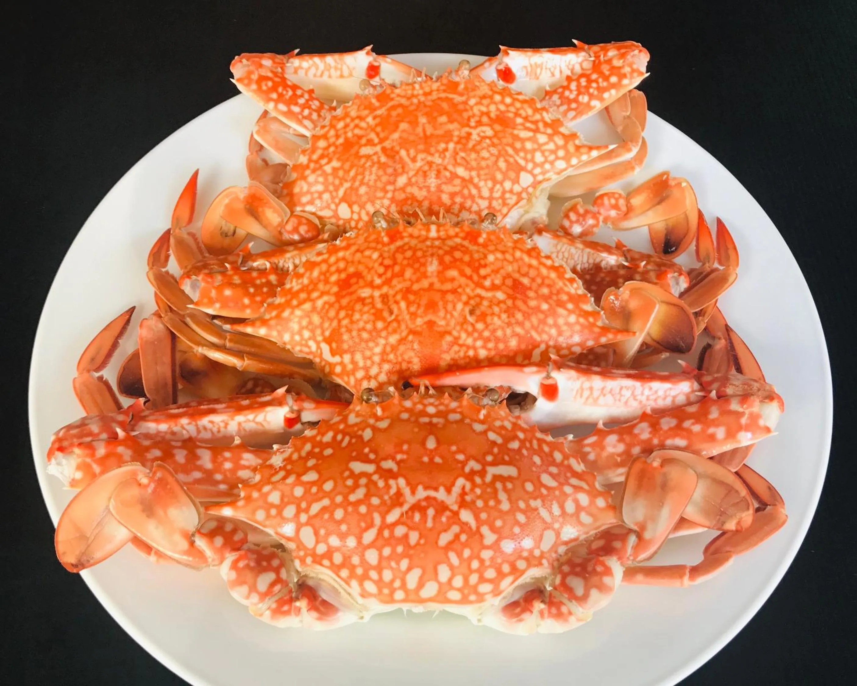 Restaurant/places to eat in Surin Bay Inn