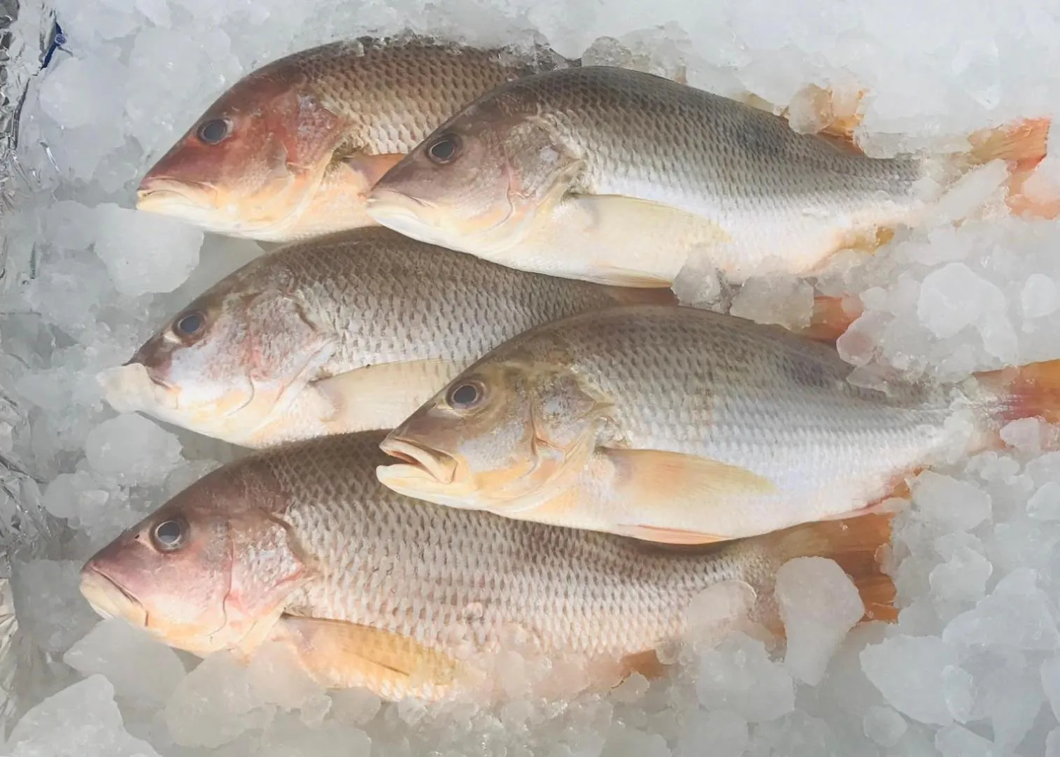 Restaurant/places to eat in Surin Bay Inn