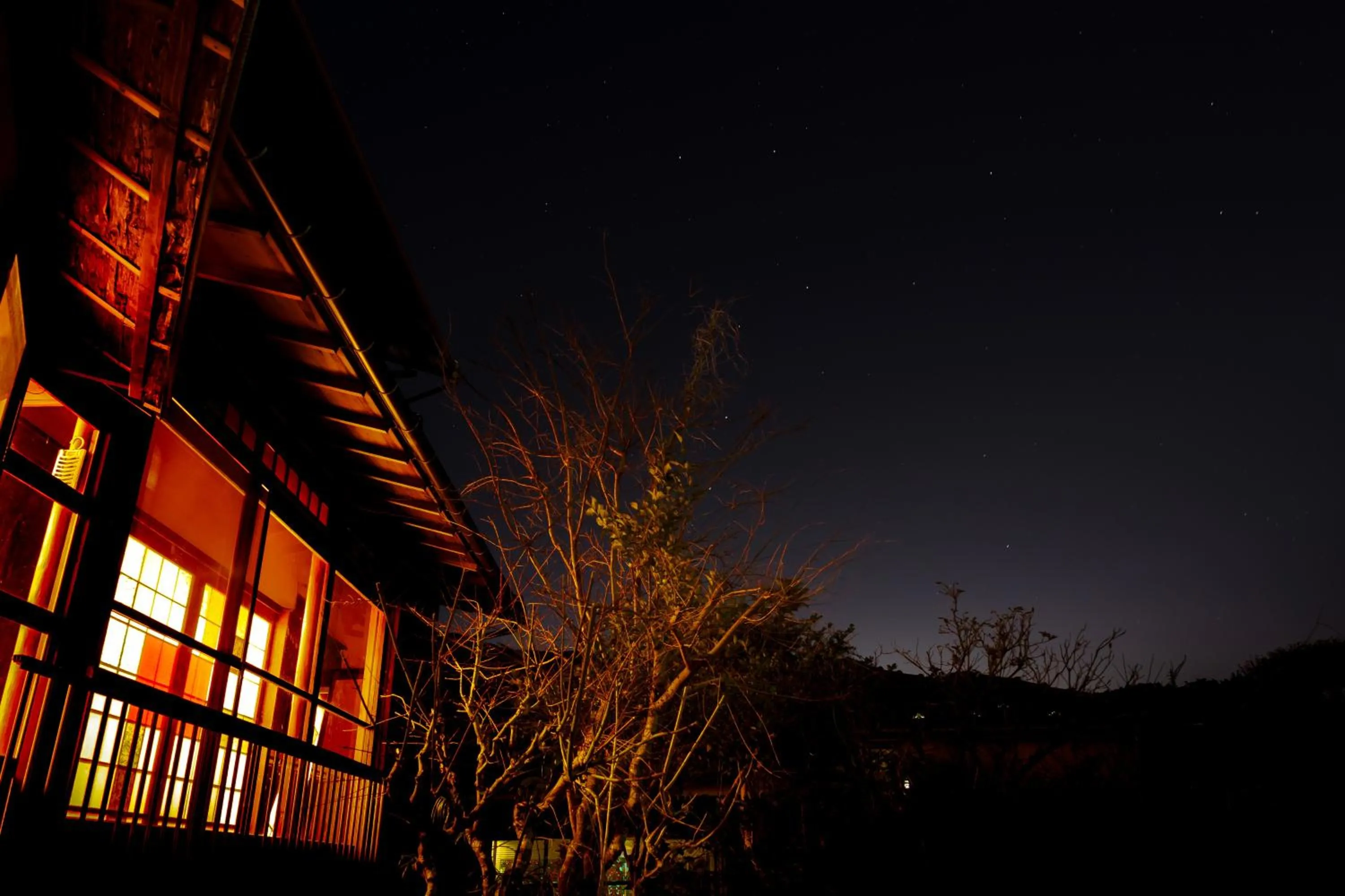 Taisho Modern Villa Zen