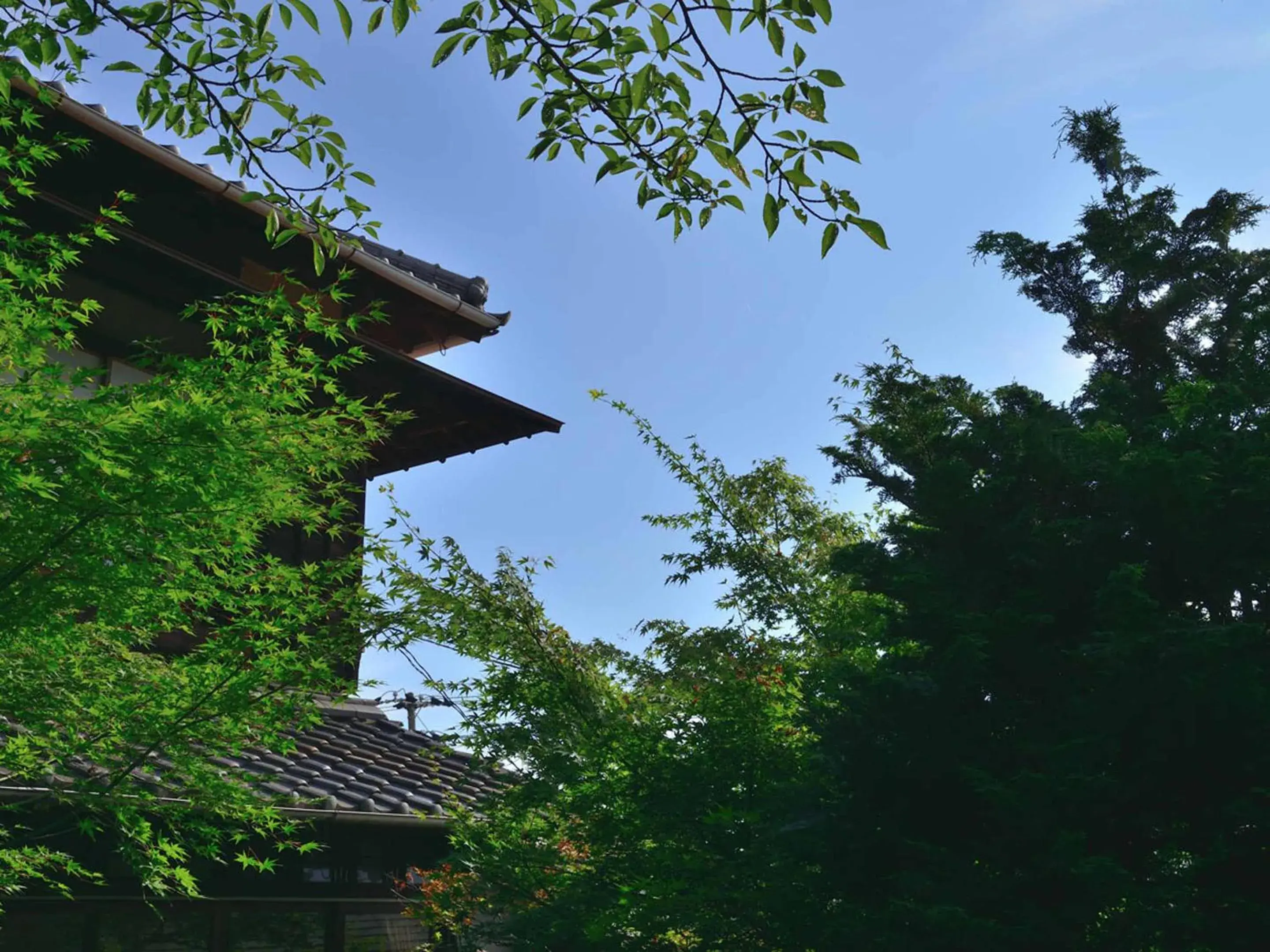Facade/entrance in Bingoya Facade/entrance in Bingoya
