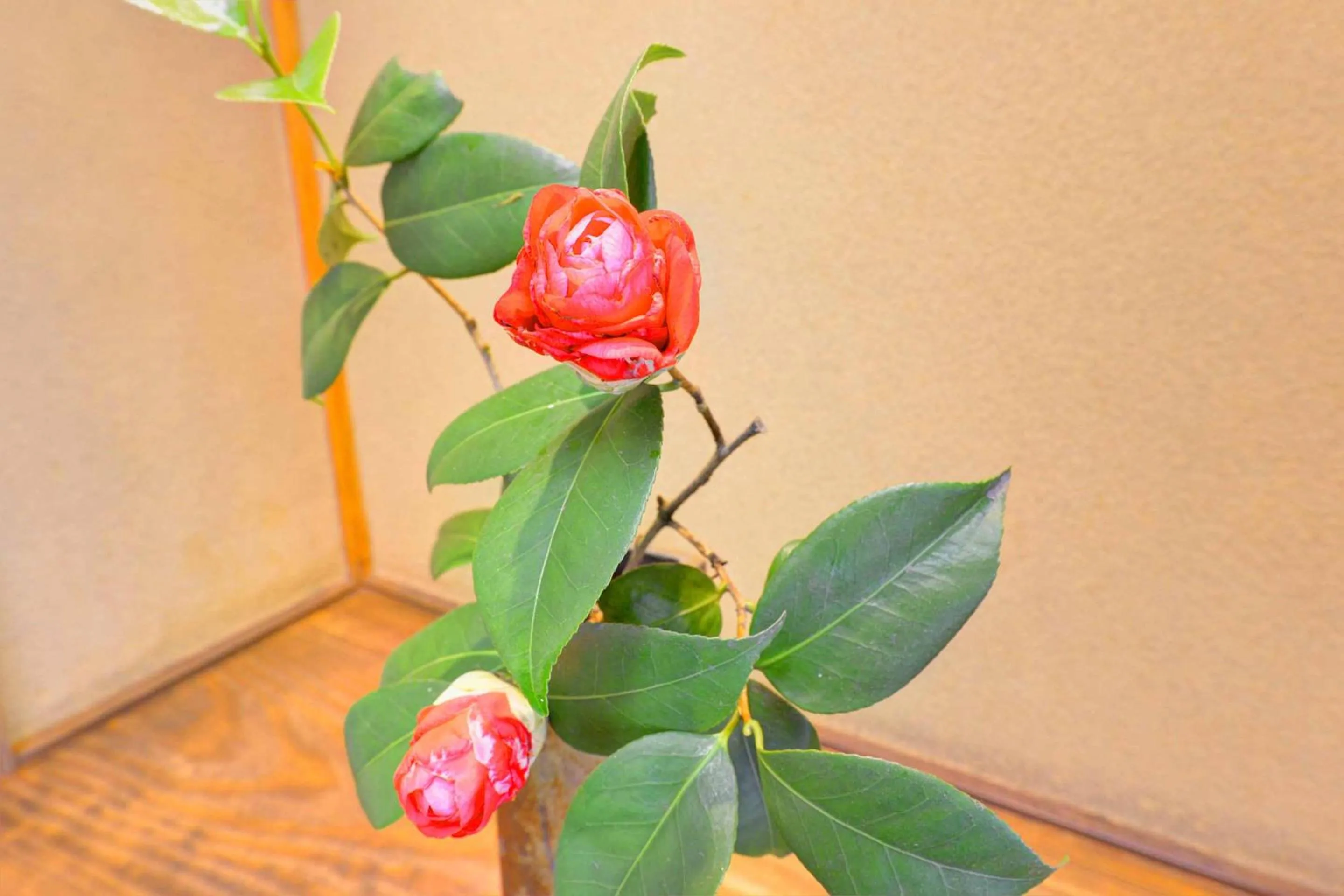 Decorative detail in Bingoya