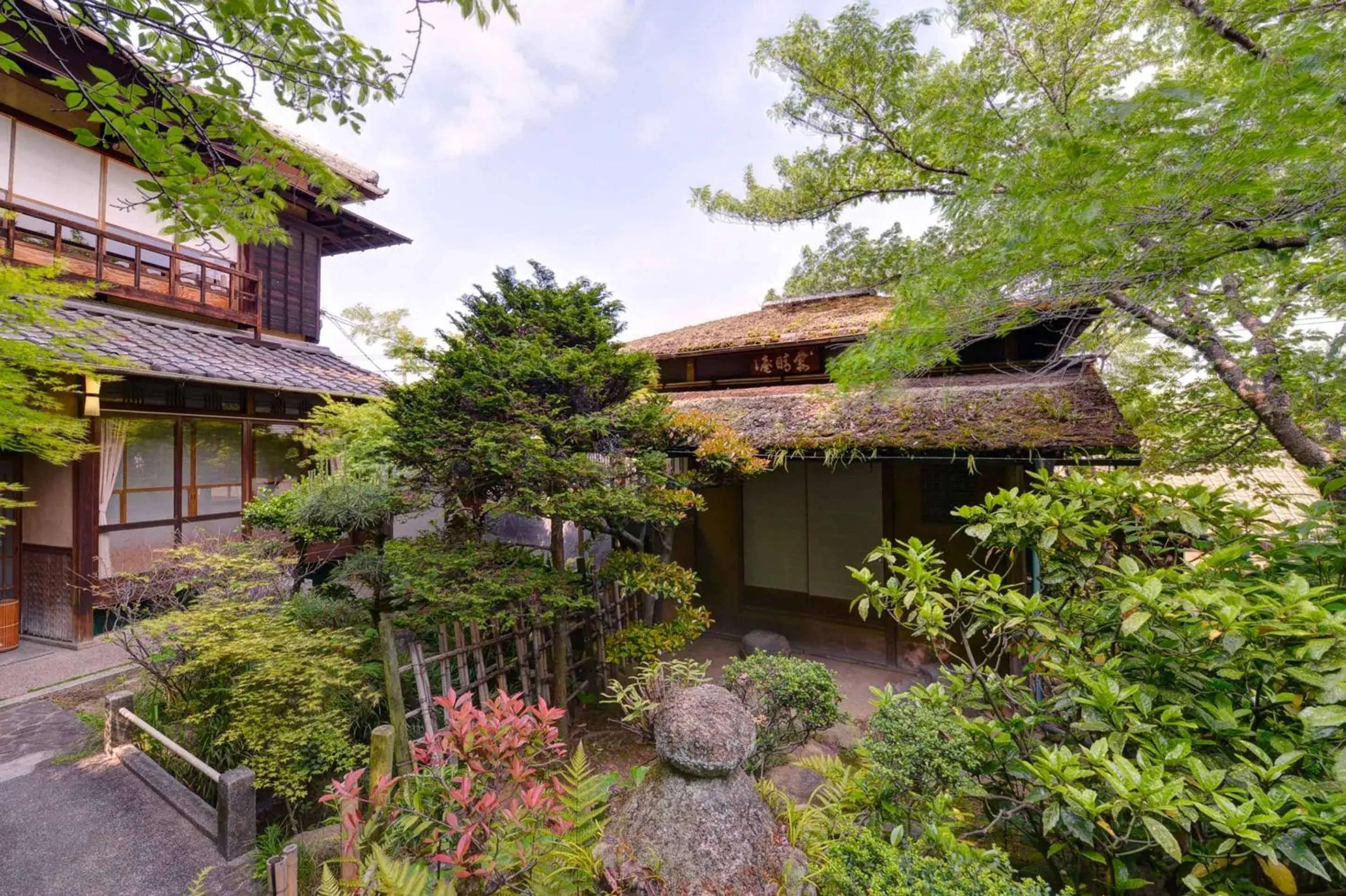 Garden view in Bingoya Garden view in Bingoya