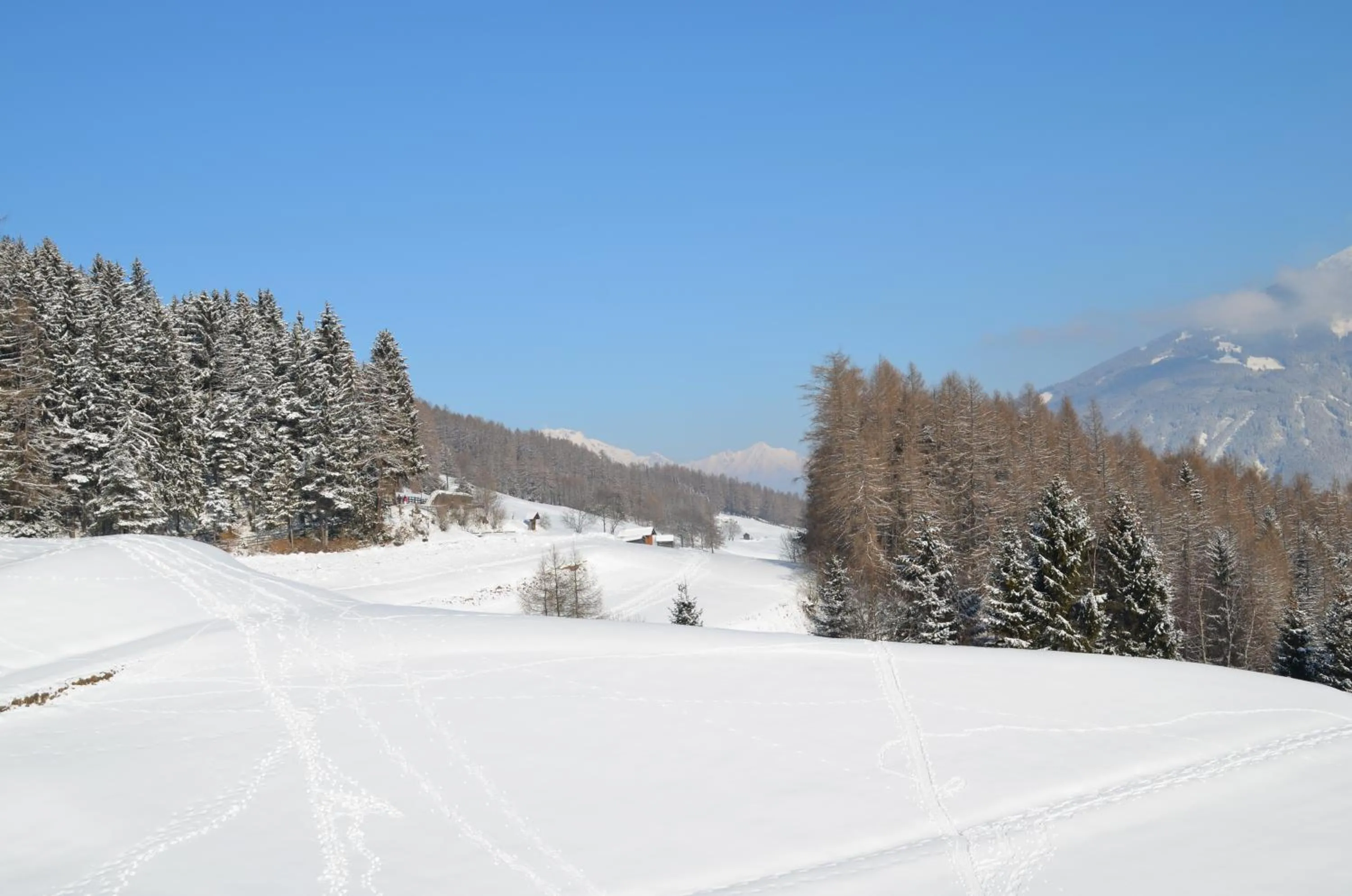 Natural landscape in Pension Kirchbrugger