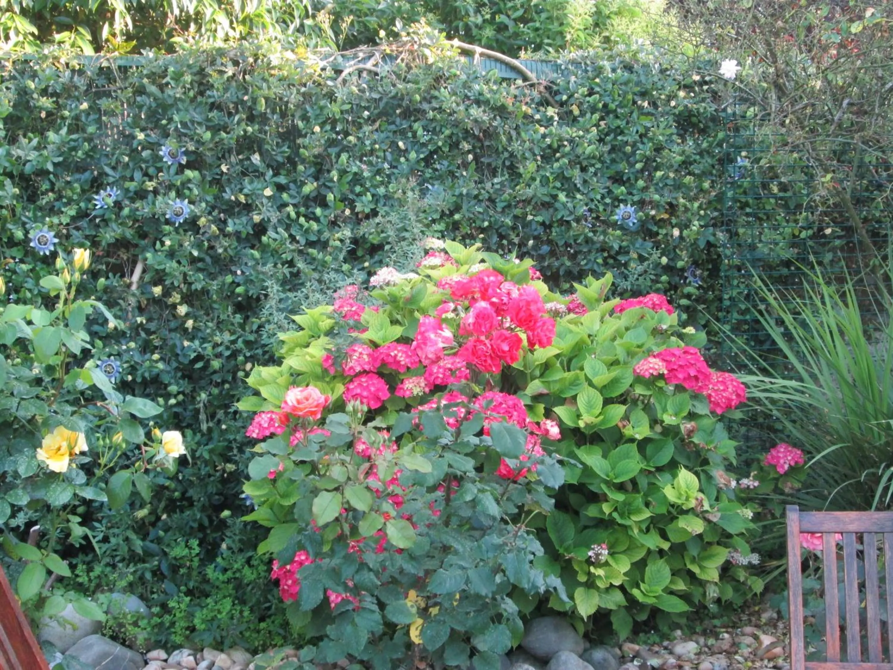 Garden in Les charmes de Vincent - le loft Cabernet