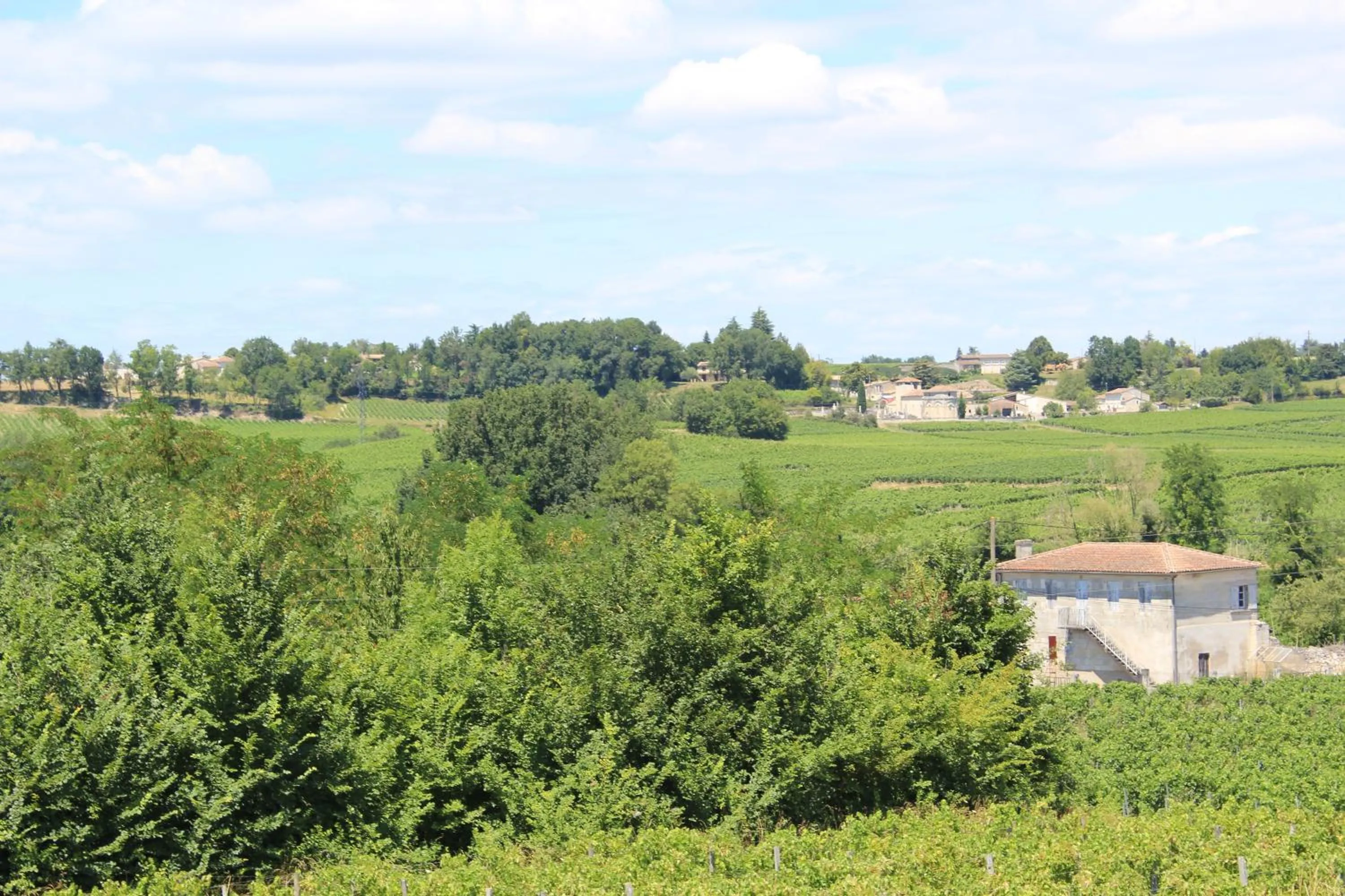 Natural landscape in Les charmes de Vincent - le loft Cabernet