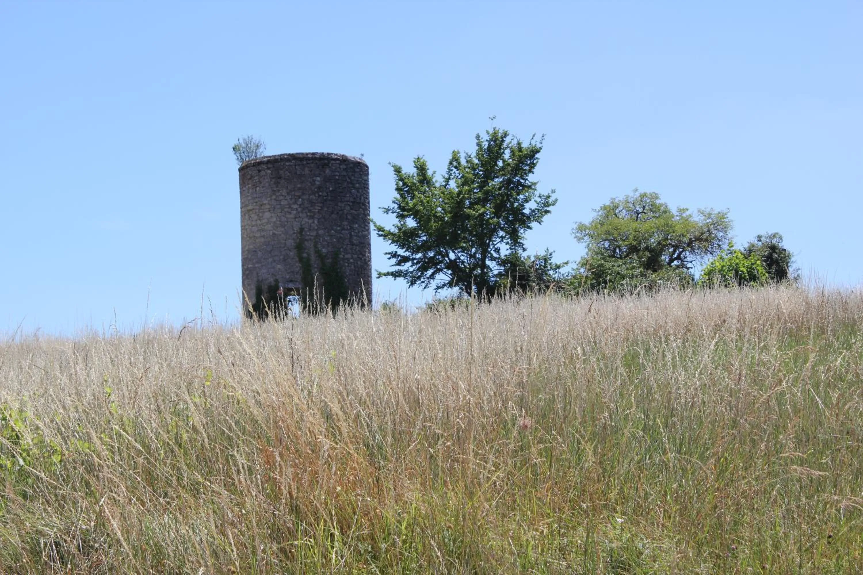 Natural landscape in Les charmes de Vincent - le loft Cabernet