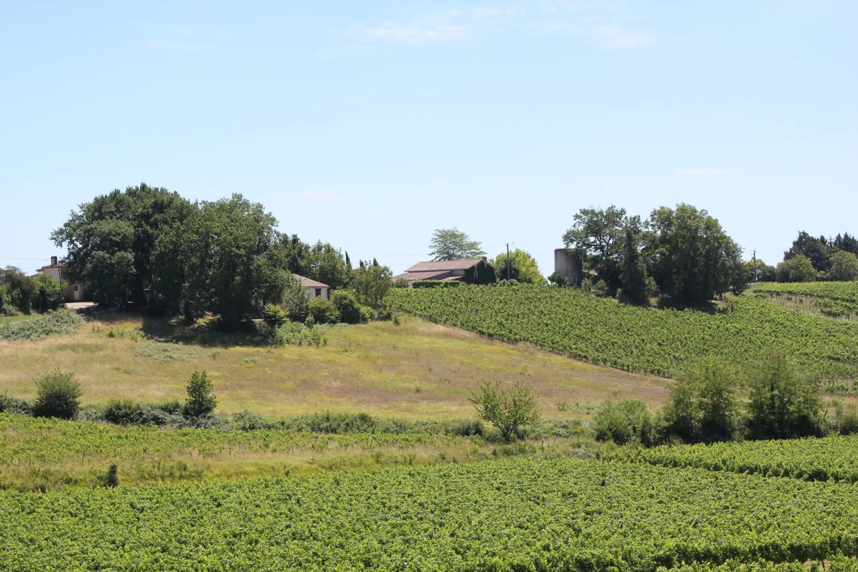 Hiking in Les charmes de Vincent - le loft Cabernet