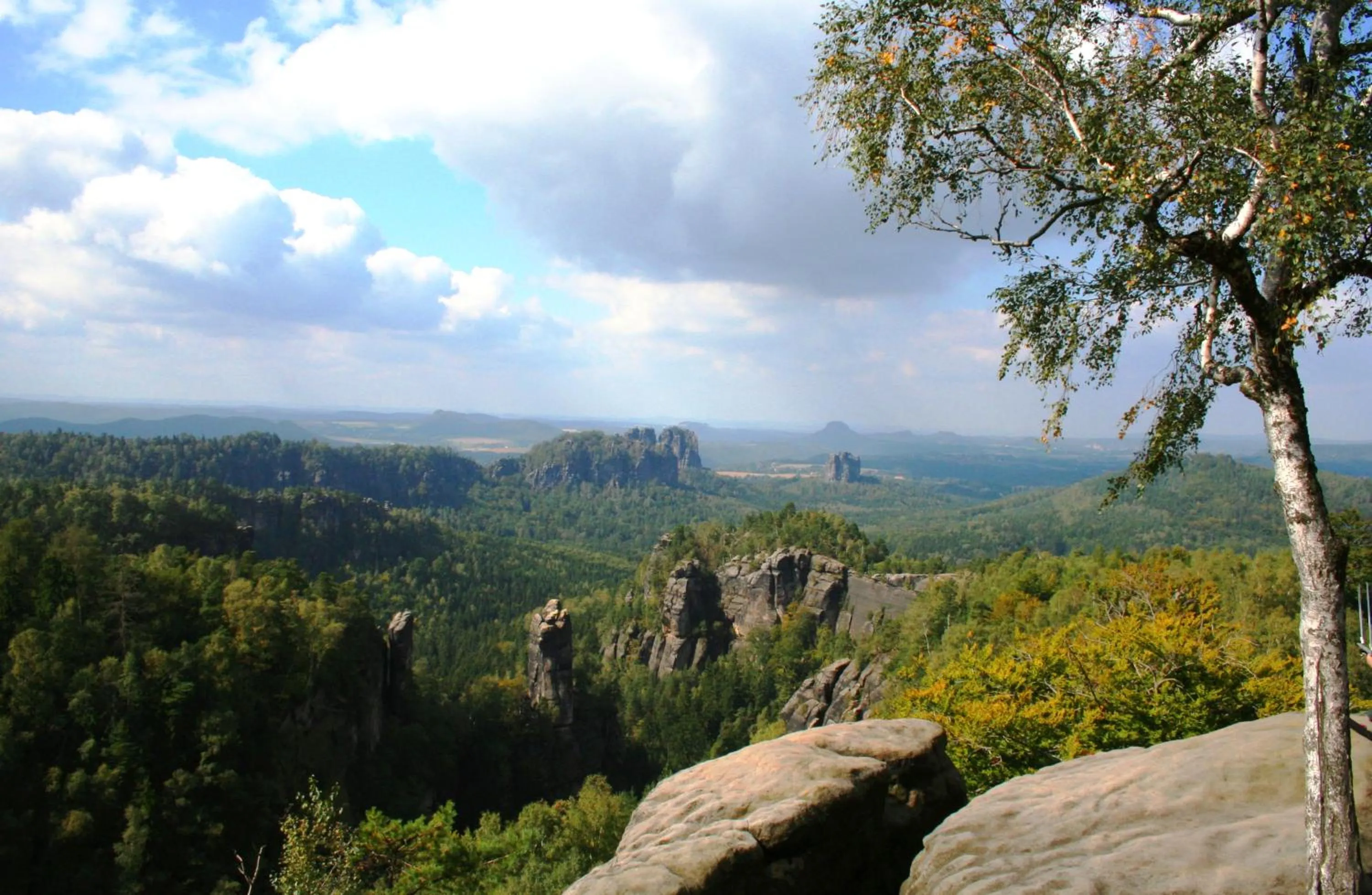 Natural landscape in Das Sigl's