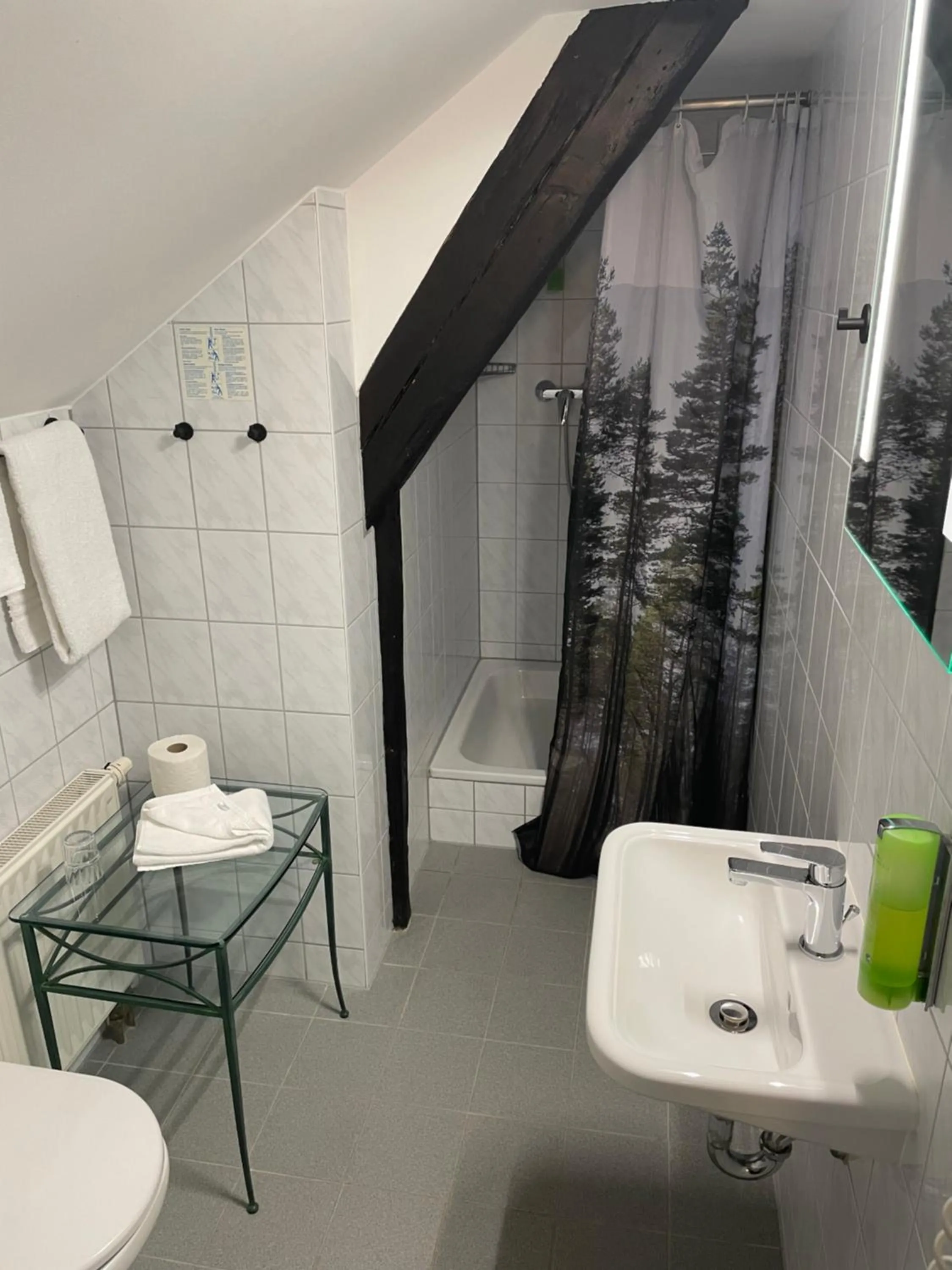 Shower in Das Sigl's