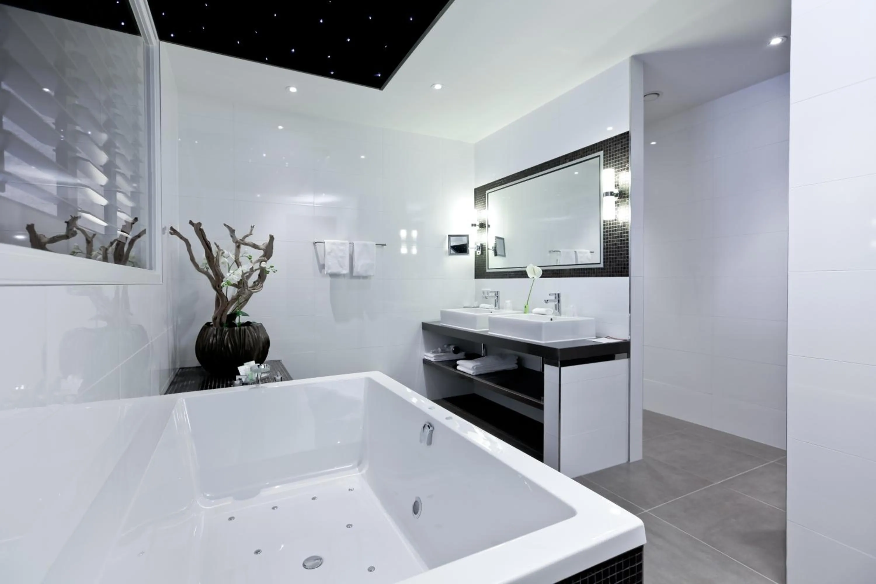 Bathroom in Hotel Thermen Bussloo - Apeldoorn