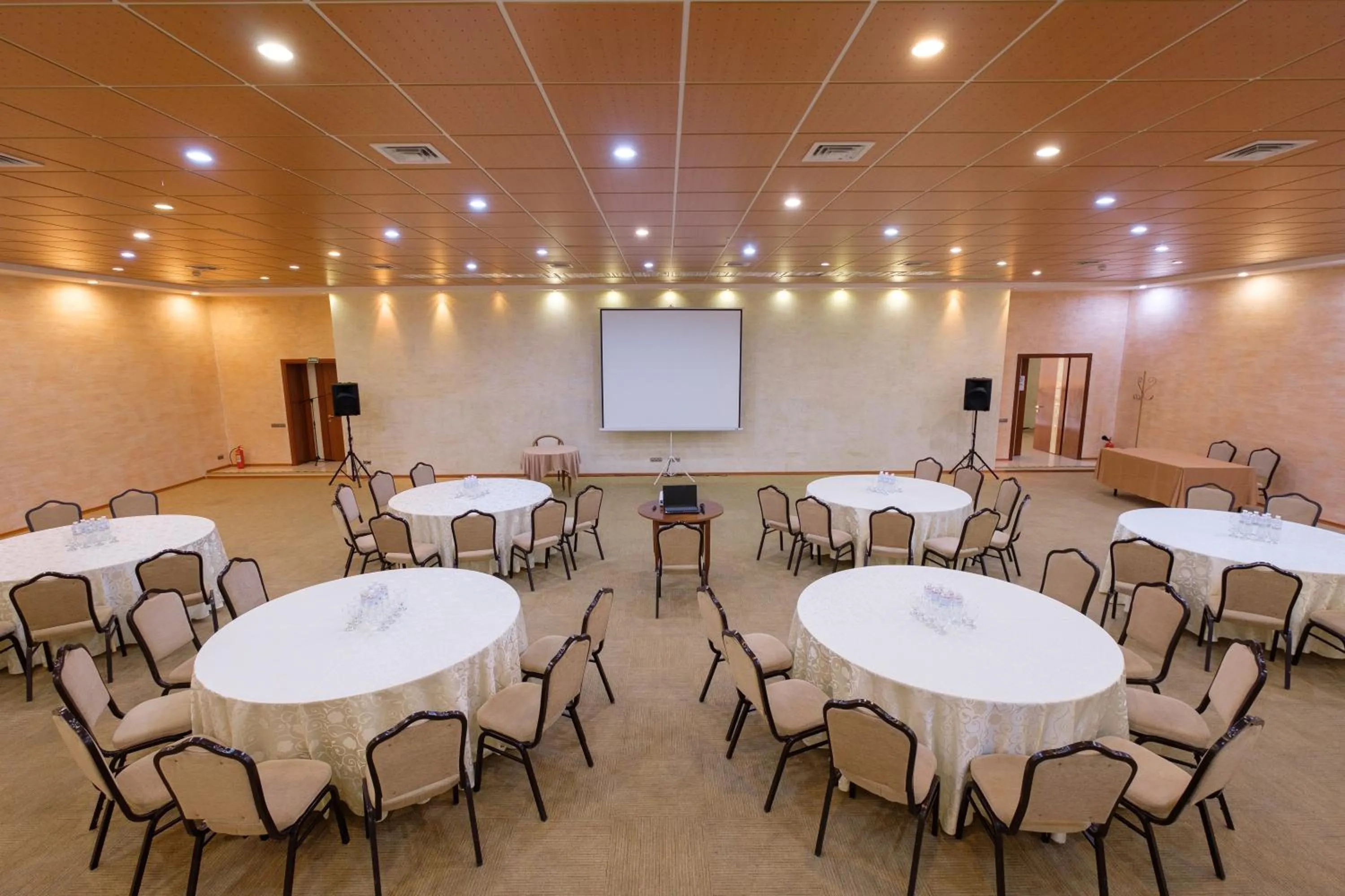 Meeting/conference room in Hotel Russia