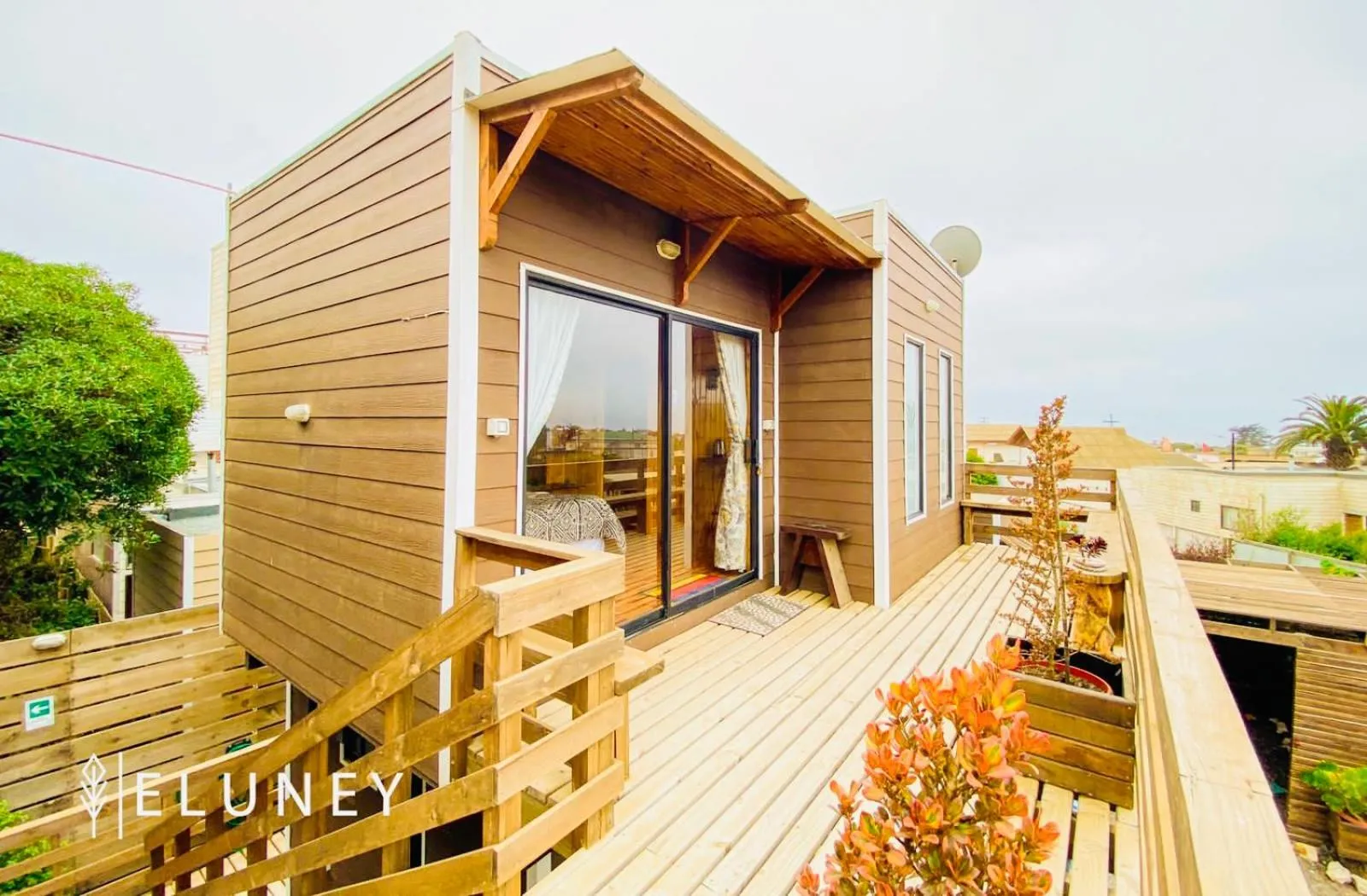 Day in ELUNEY Pichilemu