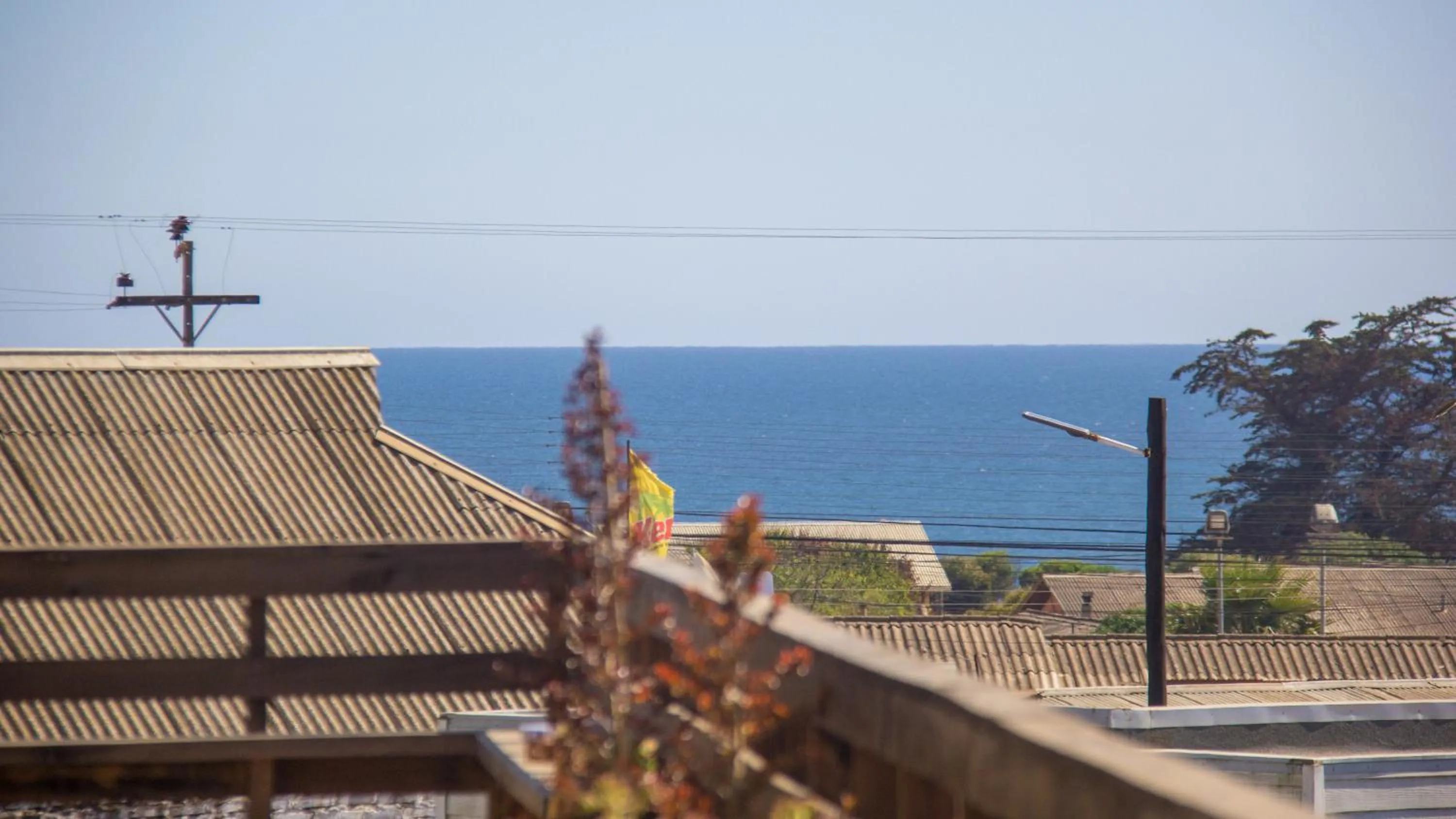 Day in ELUNEY Pichilemu