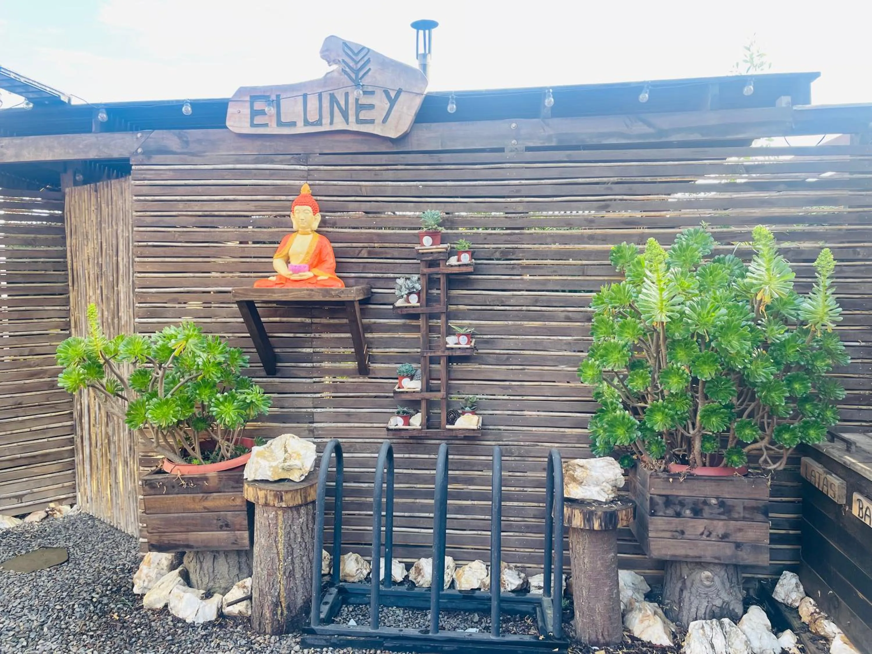 Spring in ELUNEY Pichilemu