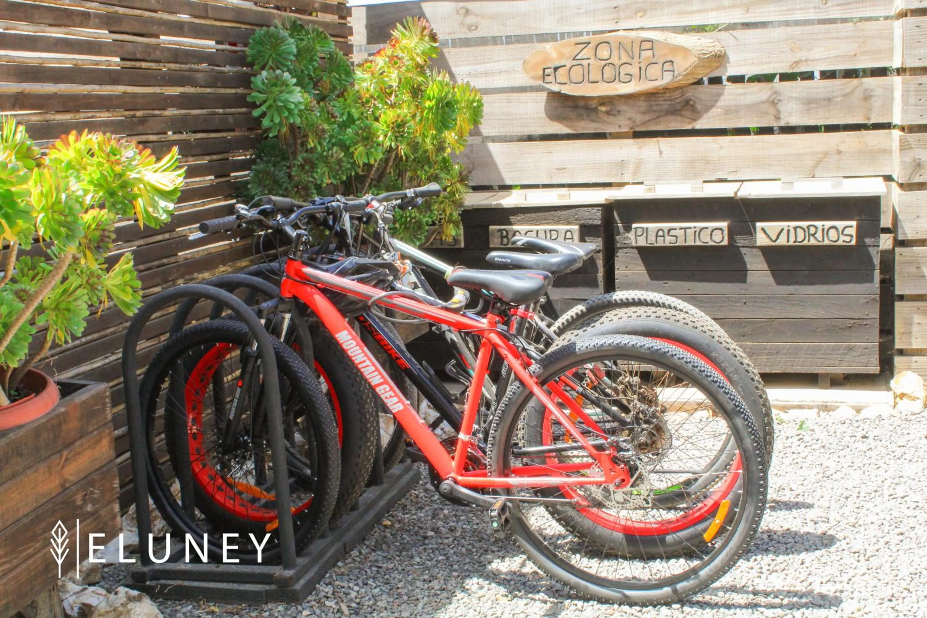 Day in ELUNEY Pichilemu