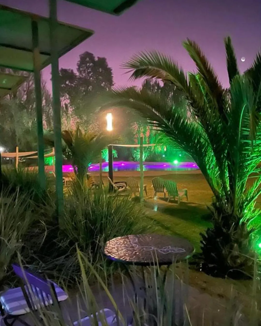 Garden in Hotel Tomaso